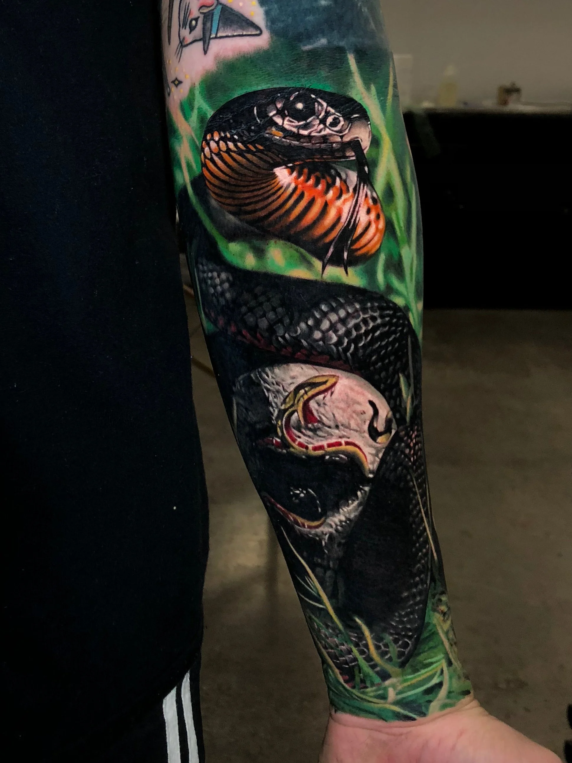 Tattooed arm with colorful, detailed tattoos including a snake, a tiger, a bird, and geometric designs, partially covered by a black sleeve.
