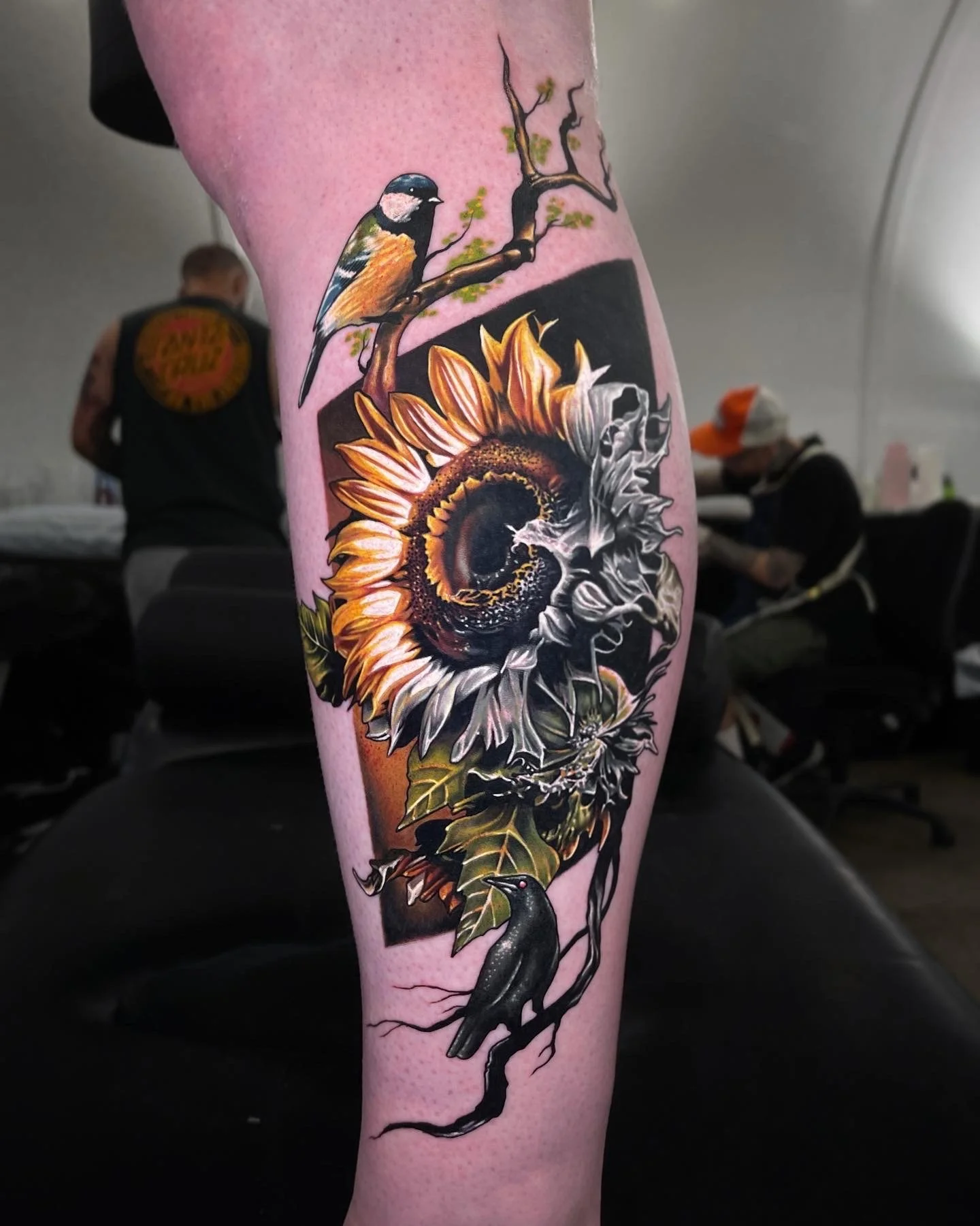 Colorful tattoo on a person's arm depicting a bird perched on a branch near a sunflower and a black cat.