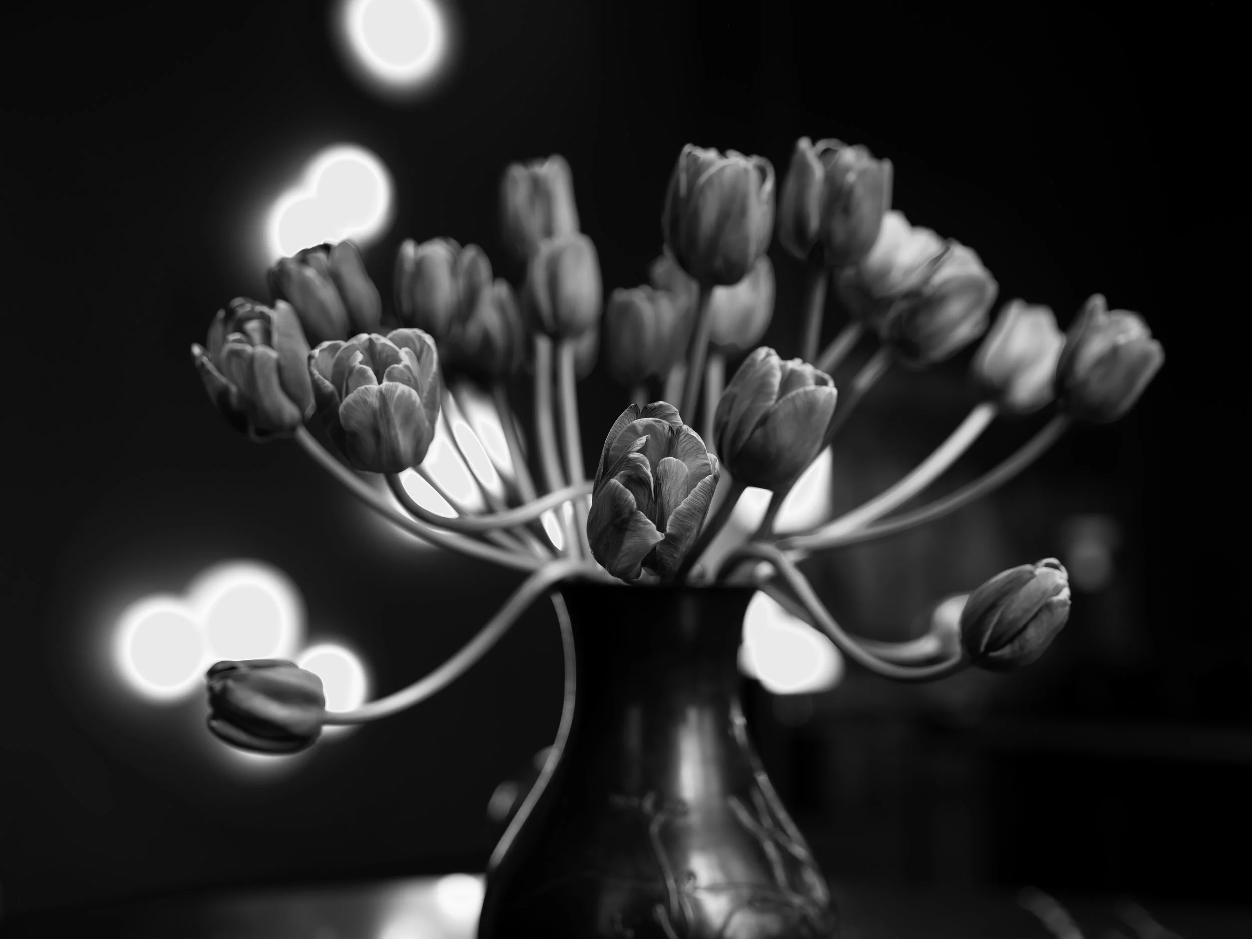 APP_FLORALS_0331_11.jpg