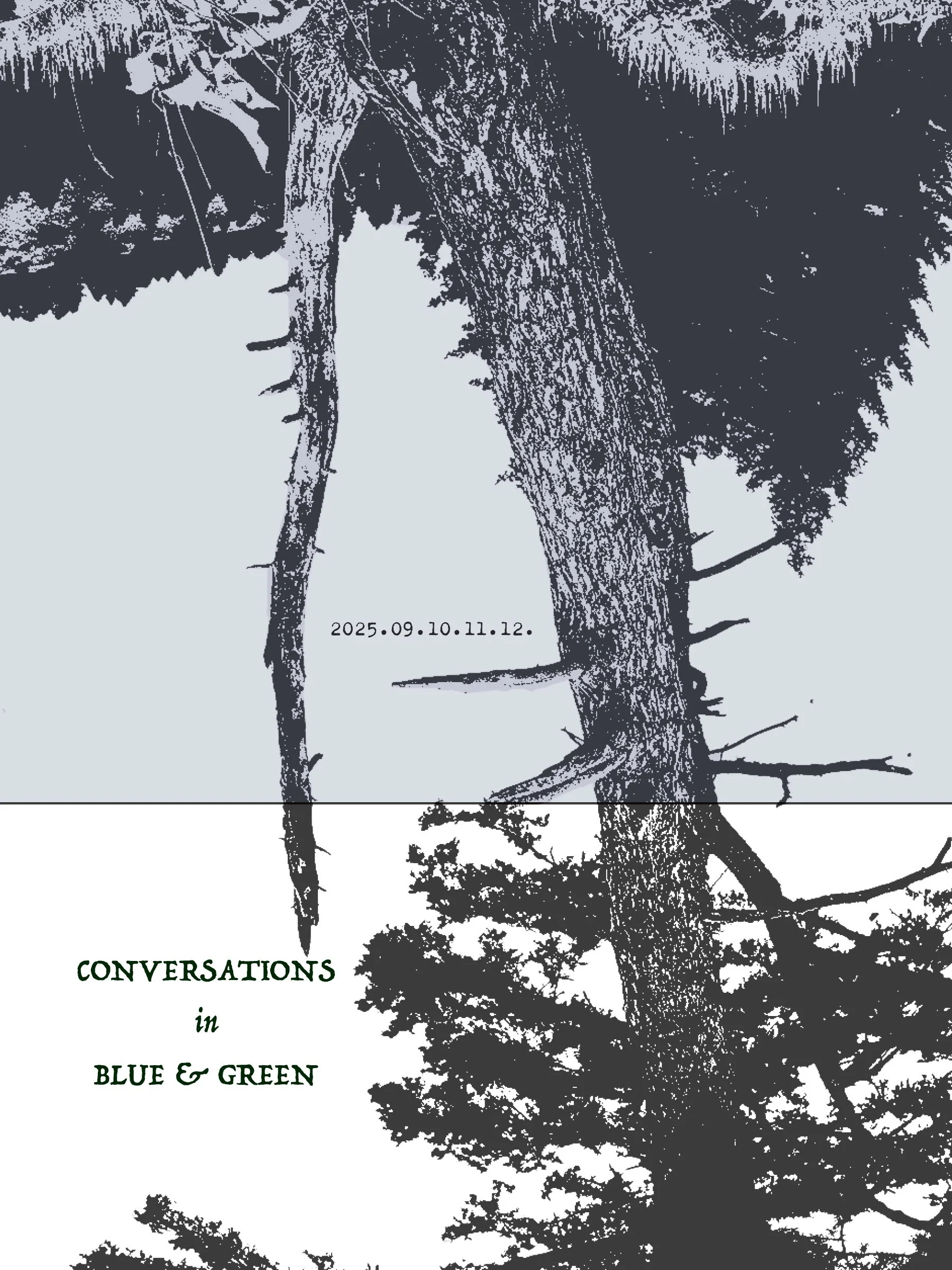 BOOK_LAYOUTS_20251110.jpg