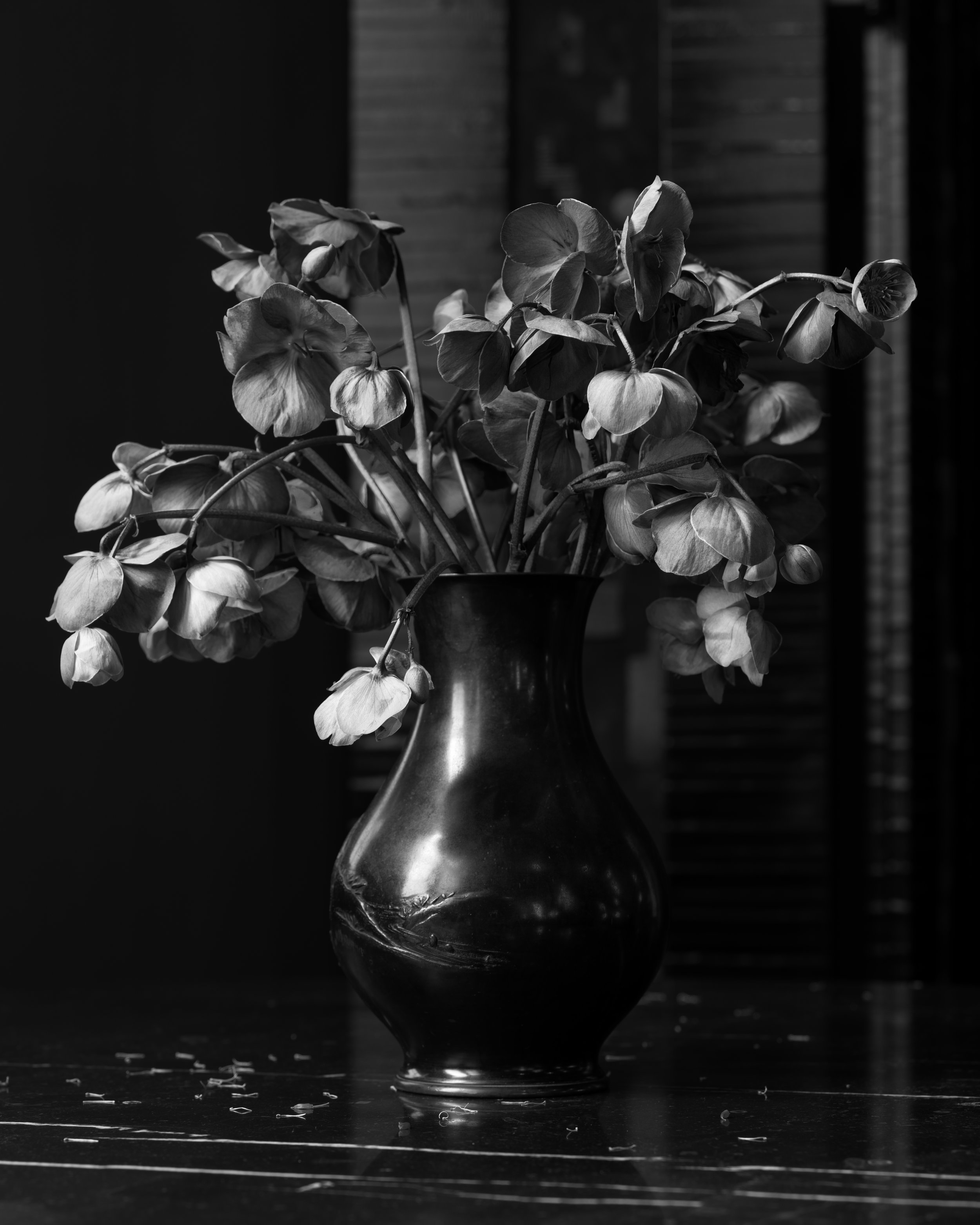 APP_FLORALS_260319_04-bw.jpg