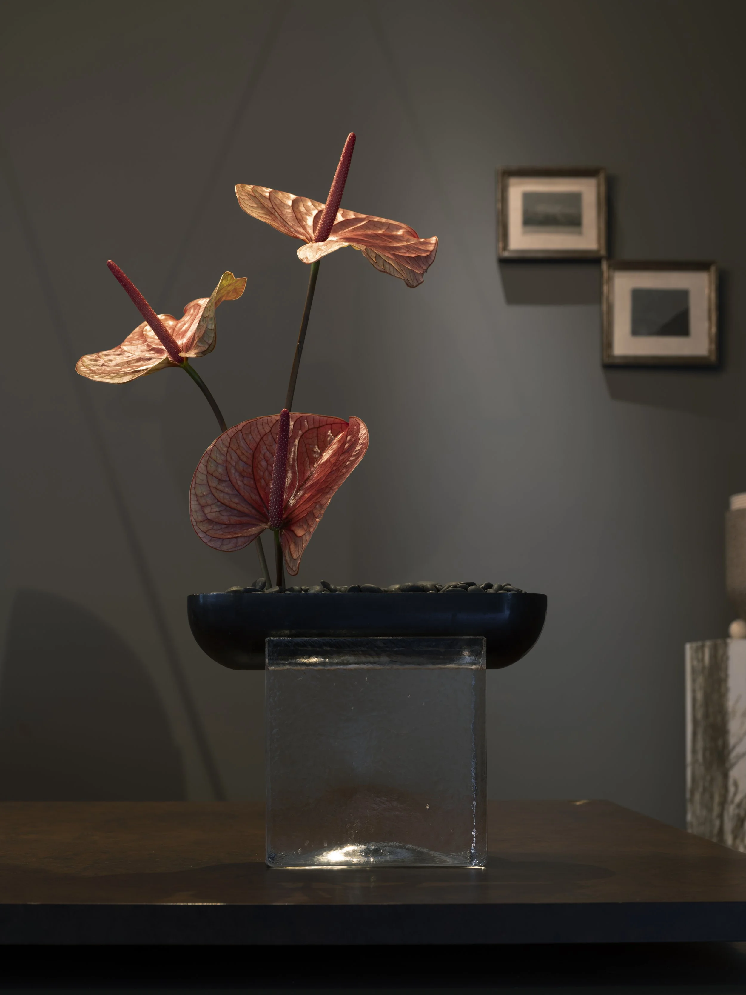 APP_FLORALS_0407_20.jpg