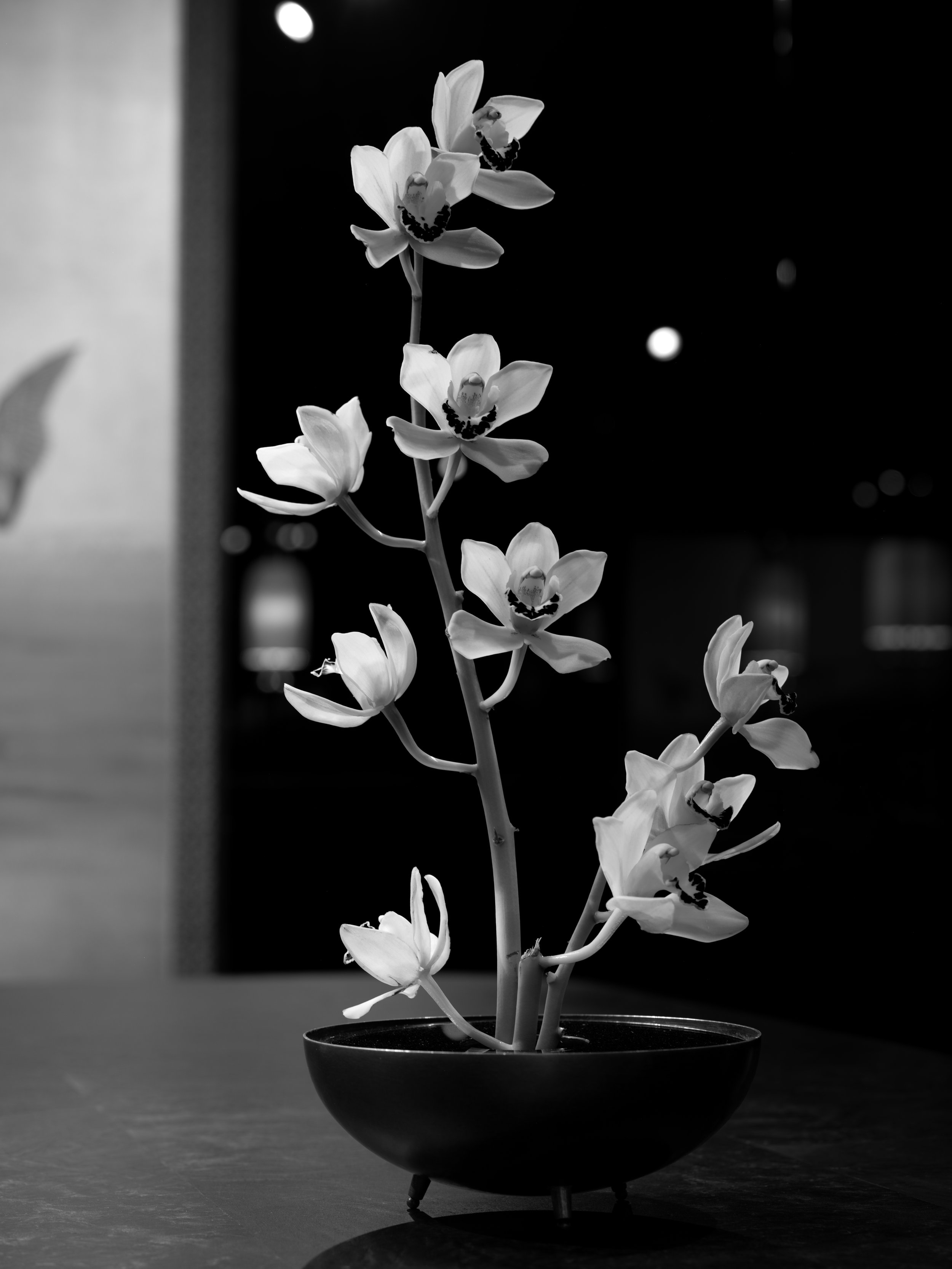 APP_FLORALS_260319_05-bw.jpg