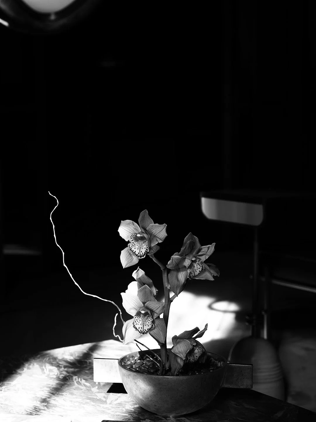 APP_FLORALS_0127_05_bw.jpg