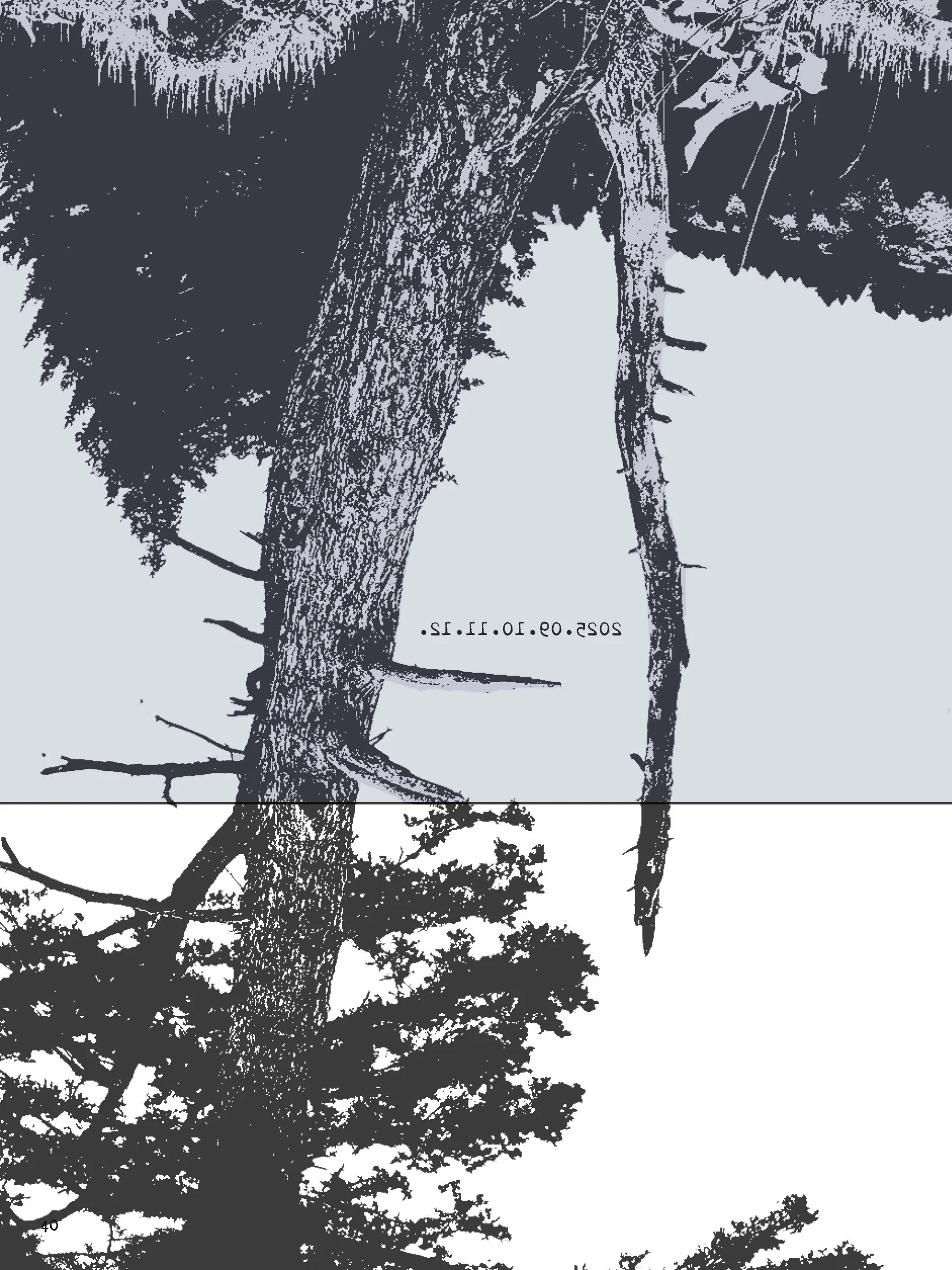 BOOK_LAYOUTS_2025111021.jpg