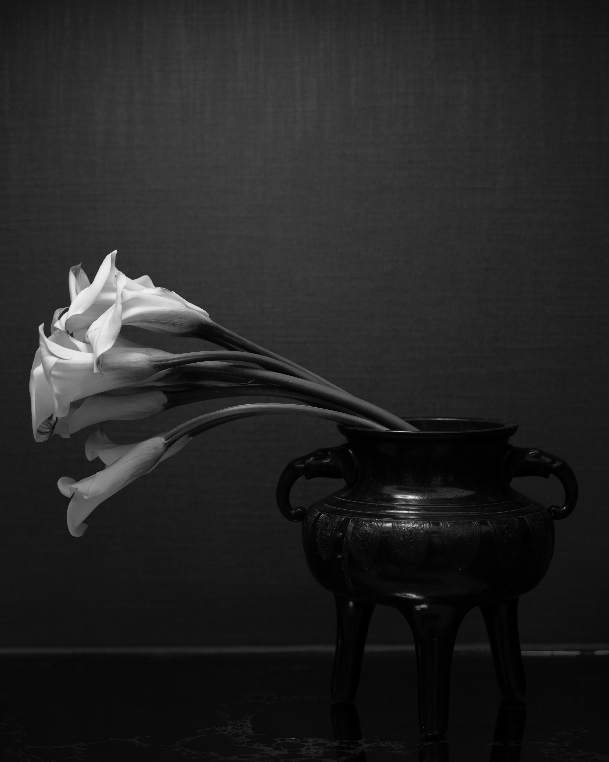 APP_FLORALS_260319_01-bw.jpg