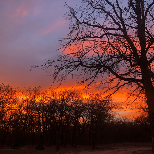 Untitled design (19).png