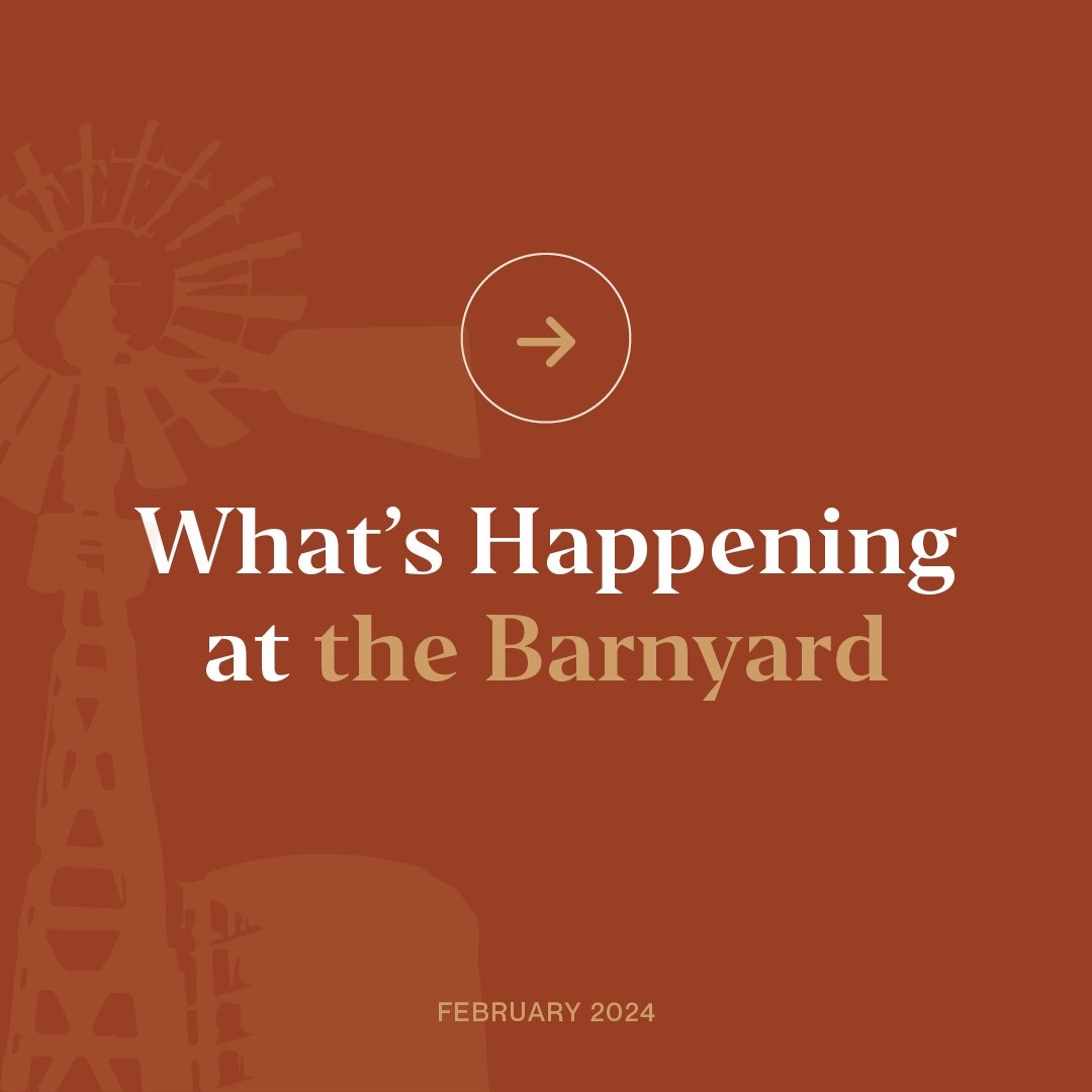 🌟What&rsquo;s Happening at the Barnyard: February

This month is packed with fun events, including plenty of Valentine&rsquo;s specials for you and your loved ones. See a taste of some of them above, and be sure to check our bio for more details!

#