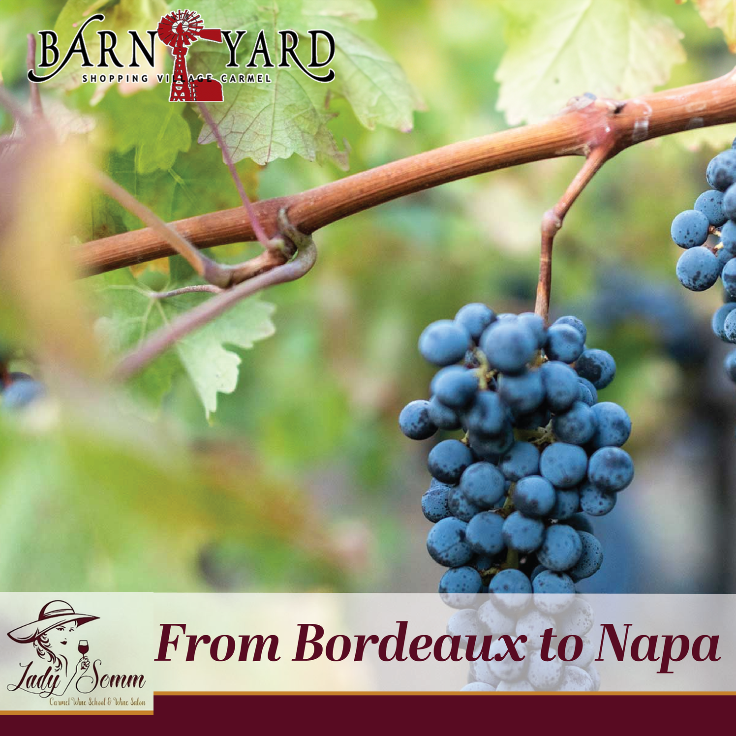 LadySomm Bordeaux Square.png