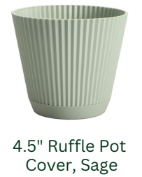 plastic pot ruffle sage.png