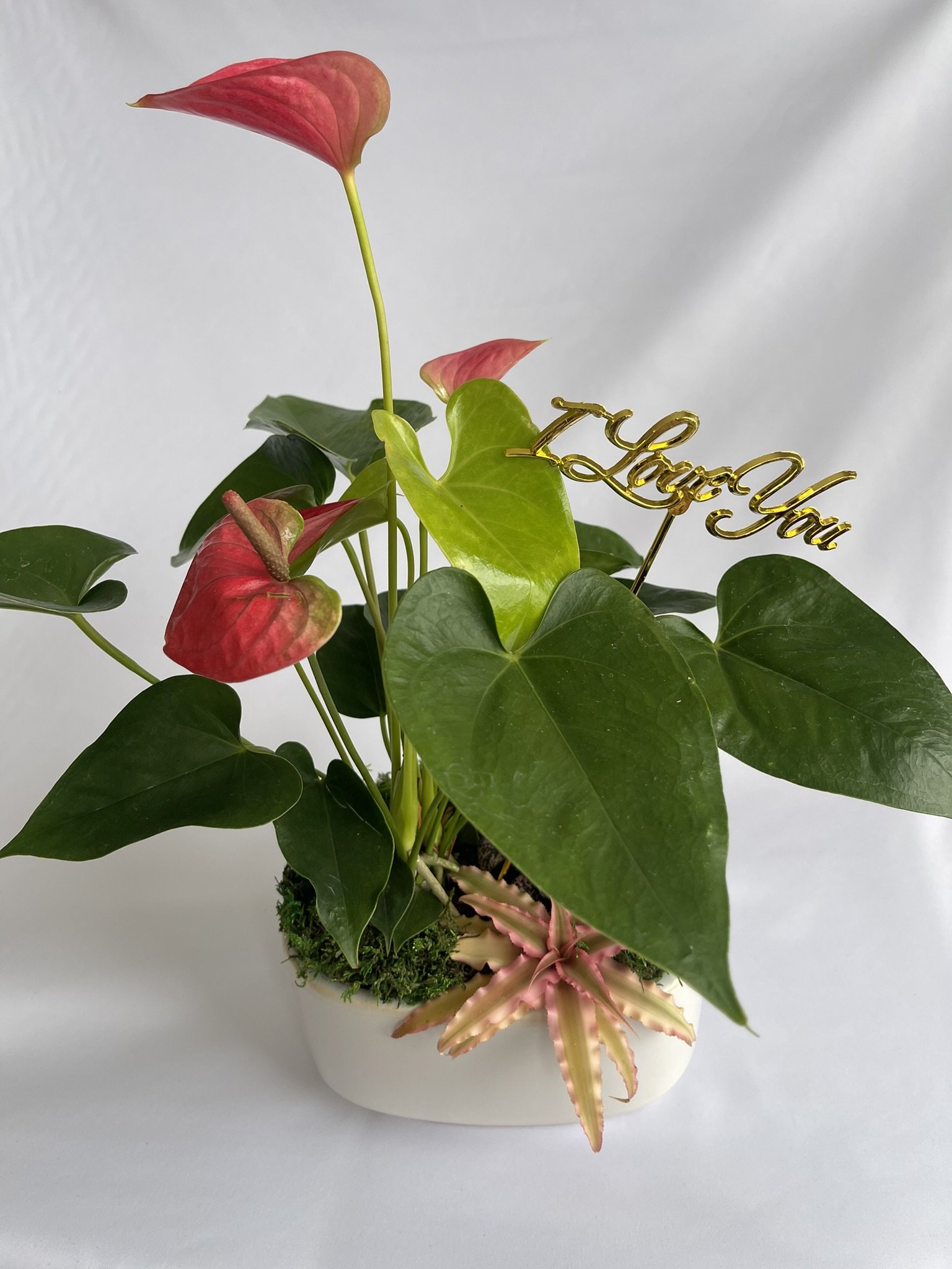 Anthurium Arrangement (Small Ceramic)