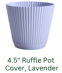 plastic pot ruffle lavender.png
