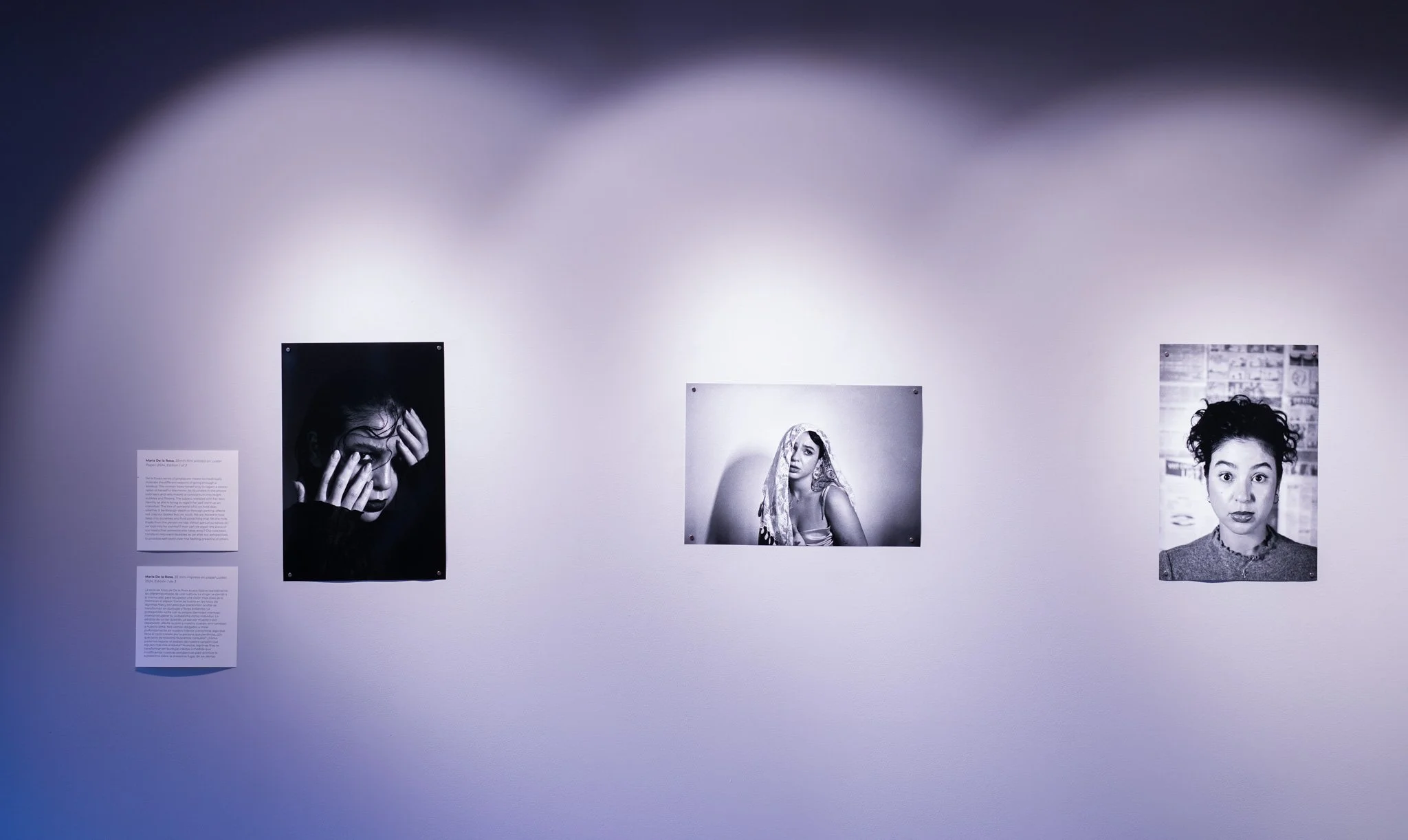 Encounter the Reel (In the gallery)-2.jpg