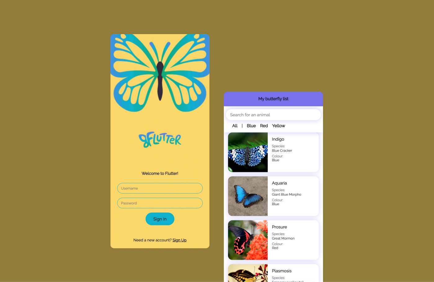 Flutter | Front-end development