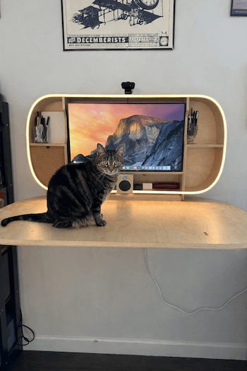 A cat on a wall mounted murphy desk