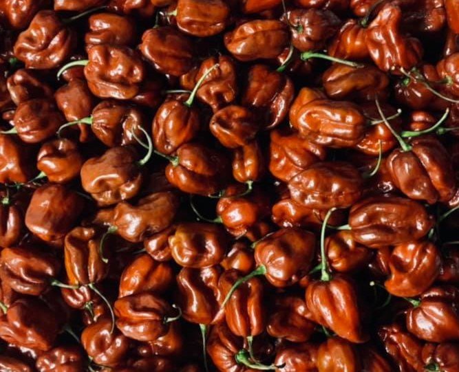 ChocolateHabanero2.jpg