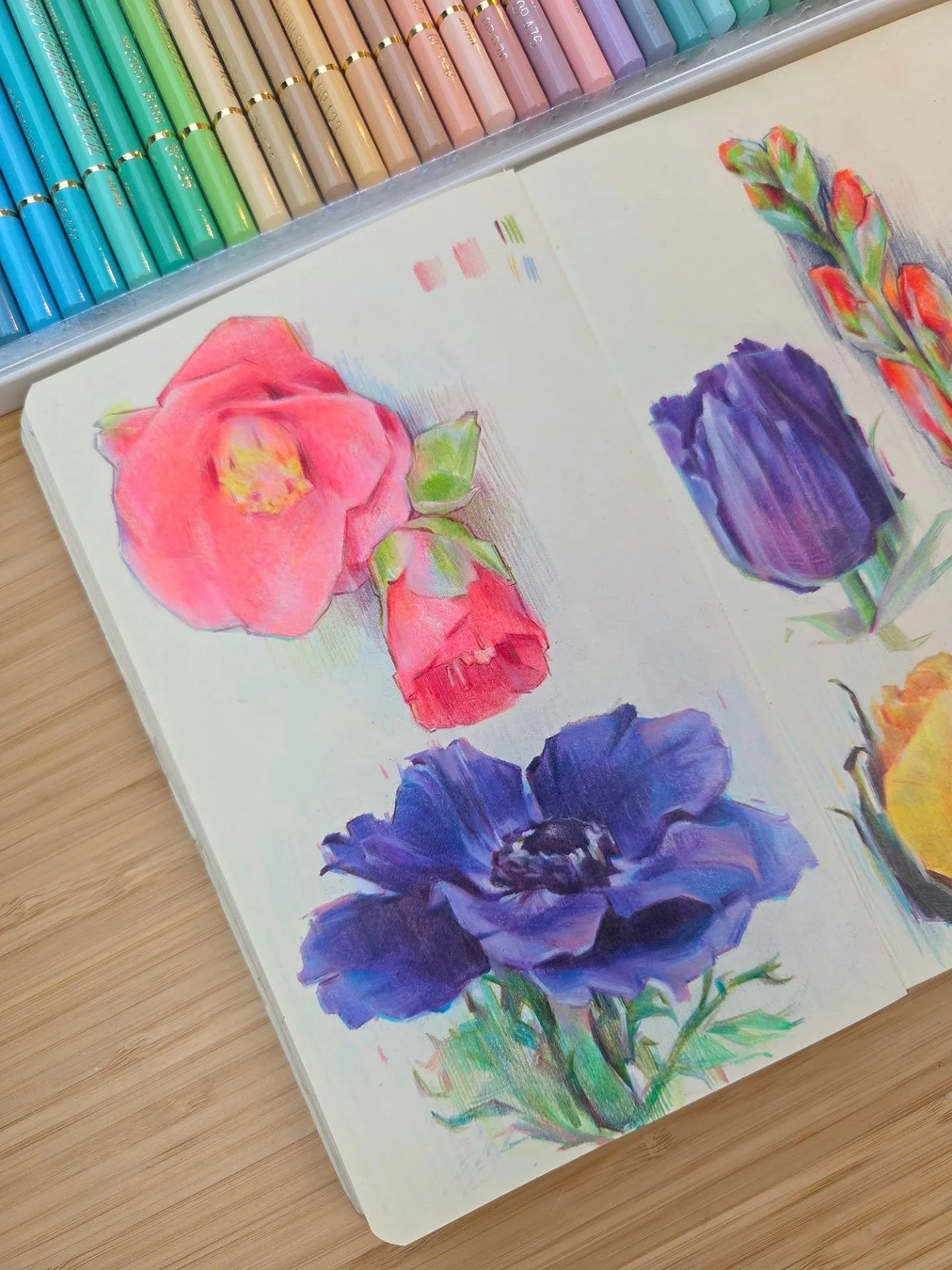 Flowers for spring!🌷 Using Holbein coloured pencils :o) 

Watch the process in my latest video!