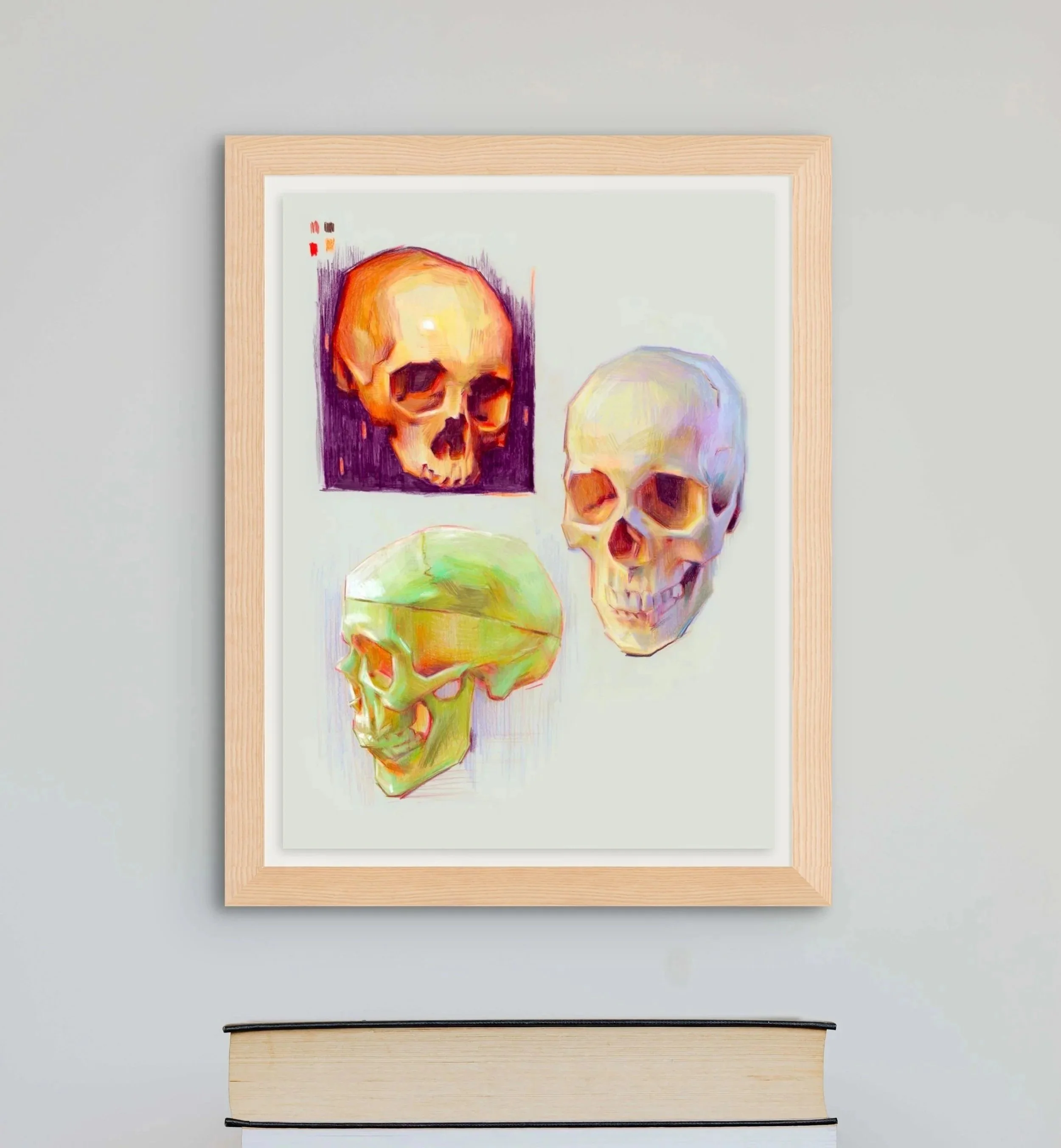 Skull Studies - Open Edition Giclée print