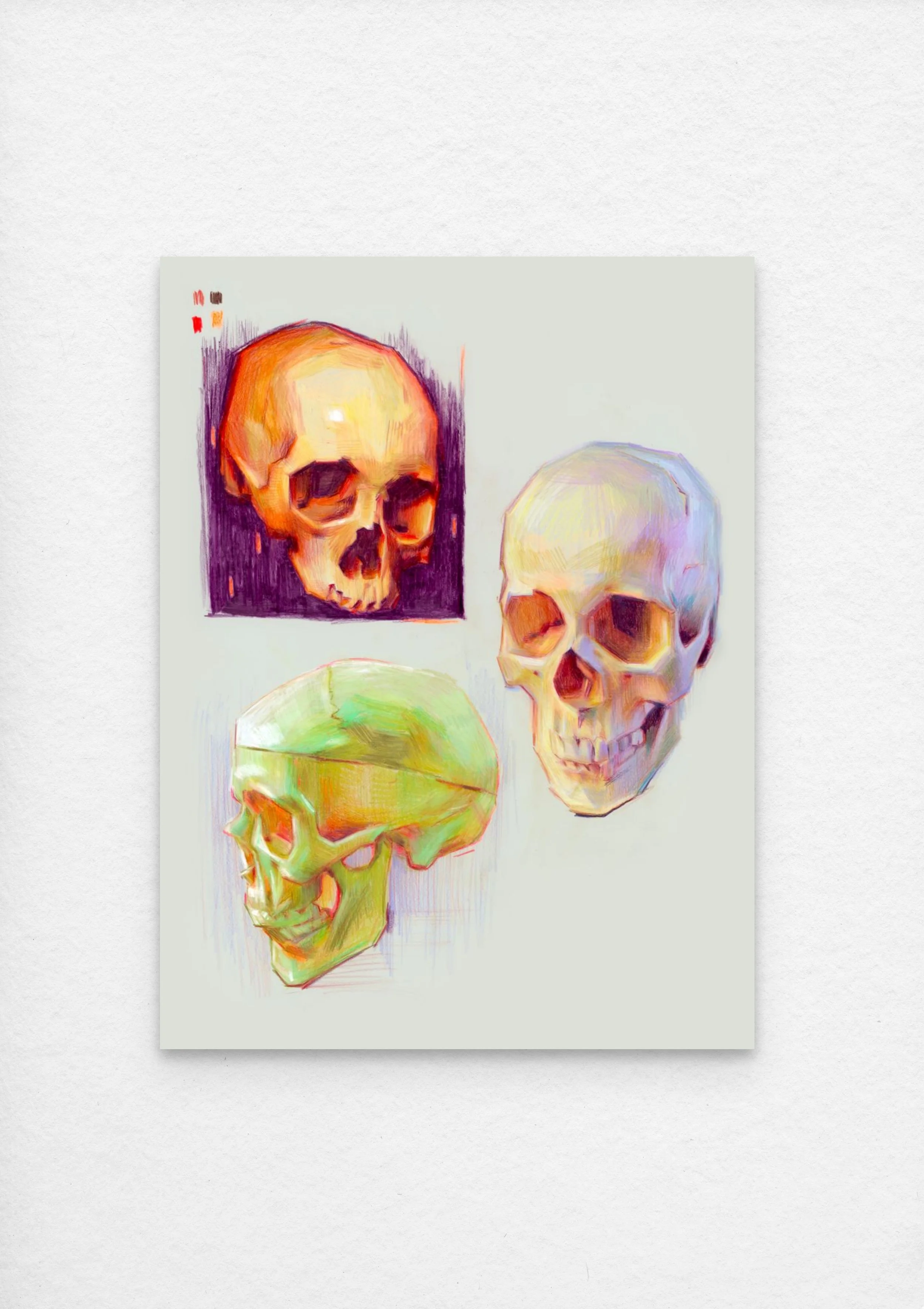 skullpage copy-full (1).jpg
