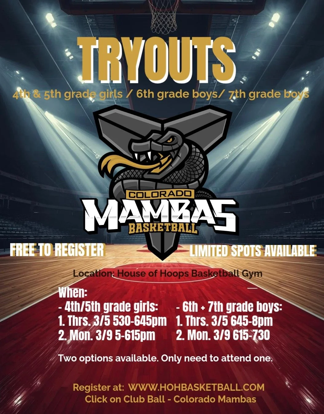 Epic Basketball Arena Under Spotlights.JPEG