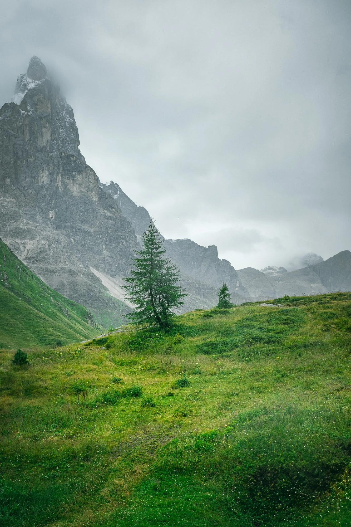 Portraits & Landscape Photography 1 hr session