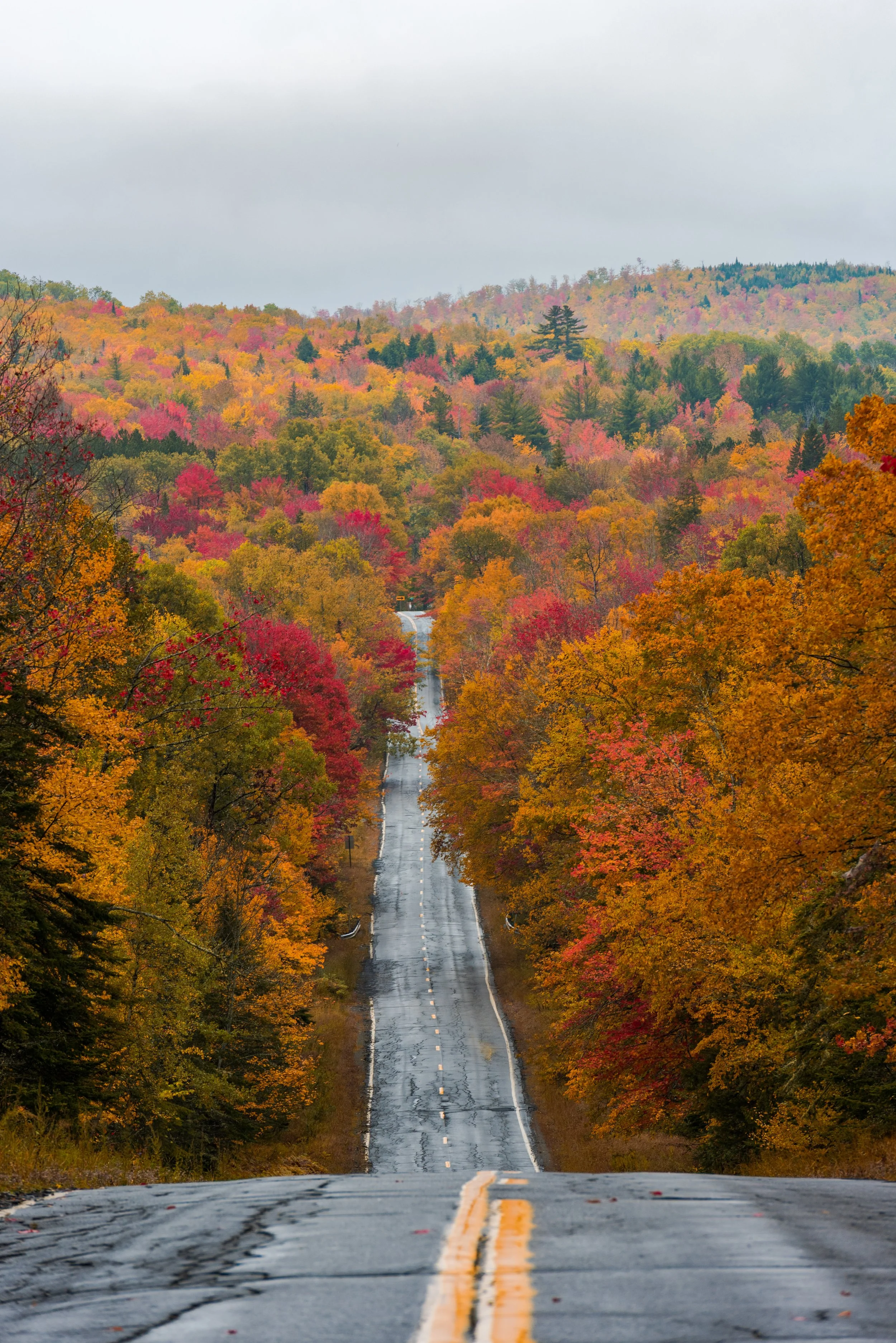 ME_Allagash_Debsconeag_Wilderness_Foliage_2017_493October 08, 2017-Edit-Edit-1.jpg