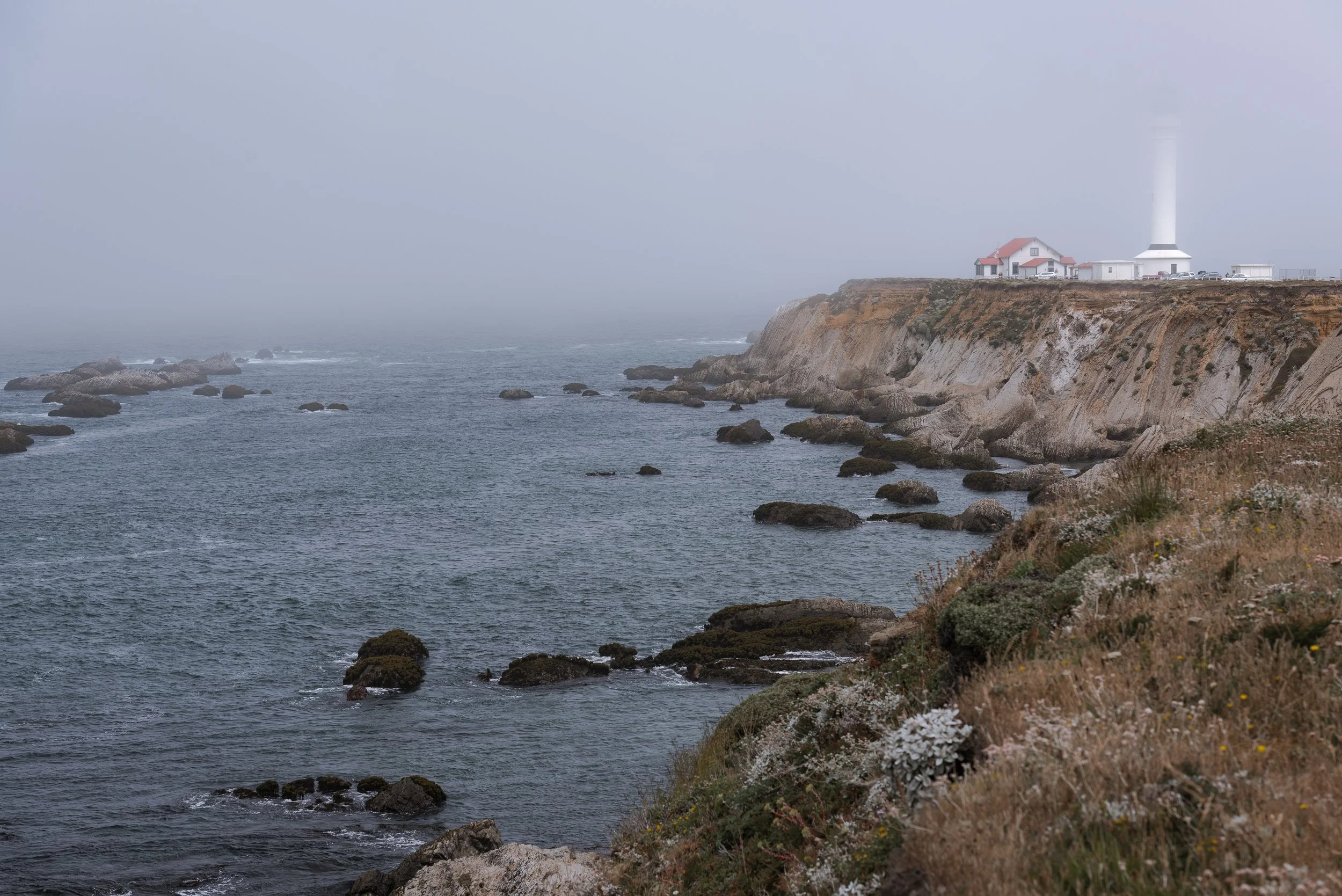 California_HWY101_Coast_00127_2017-1.jpg