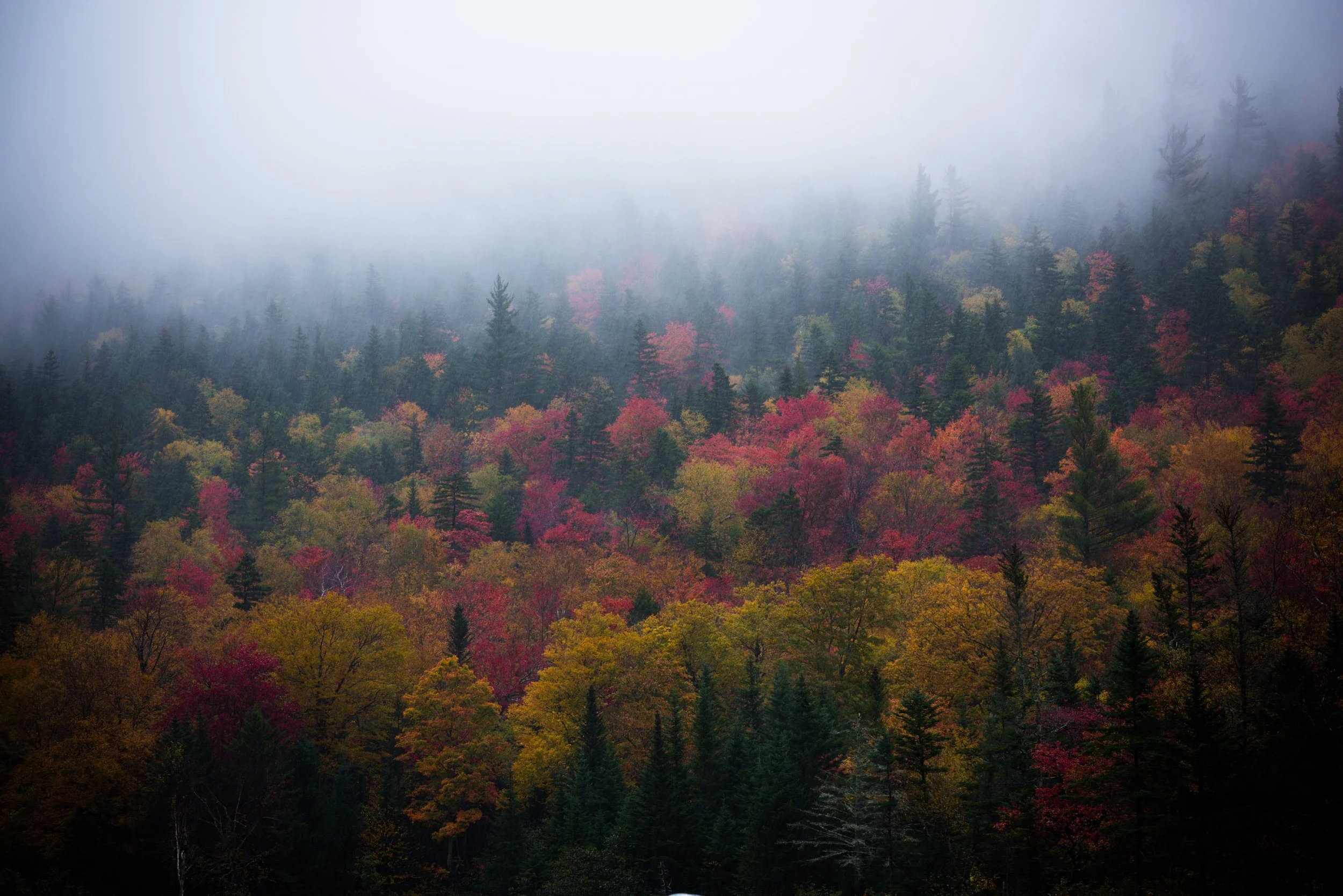 NH_White_Mountains_Foliage_2017_173October 09, 2017-1-2.jpg