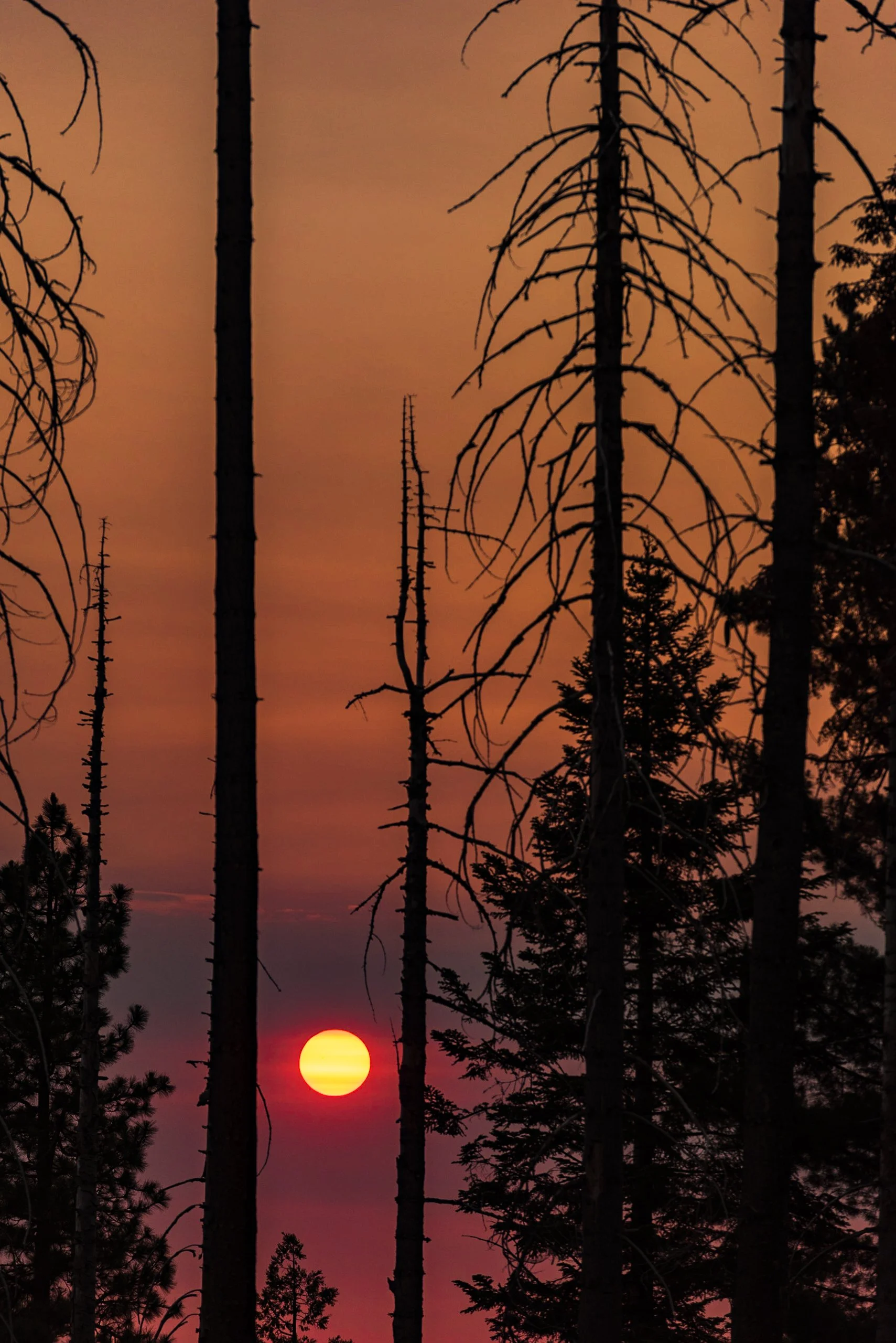 CA_Kings_Canyon_NP_Sunset_July 09, 2017_017.jpg