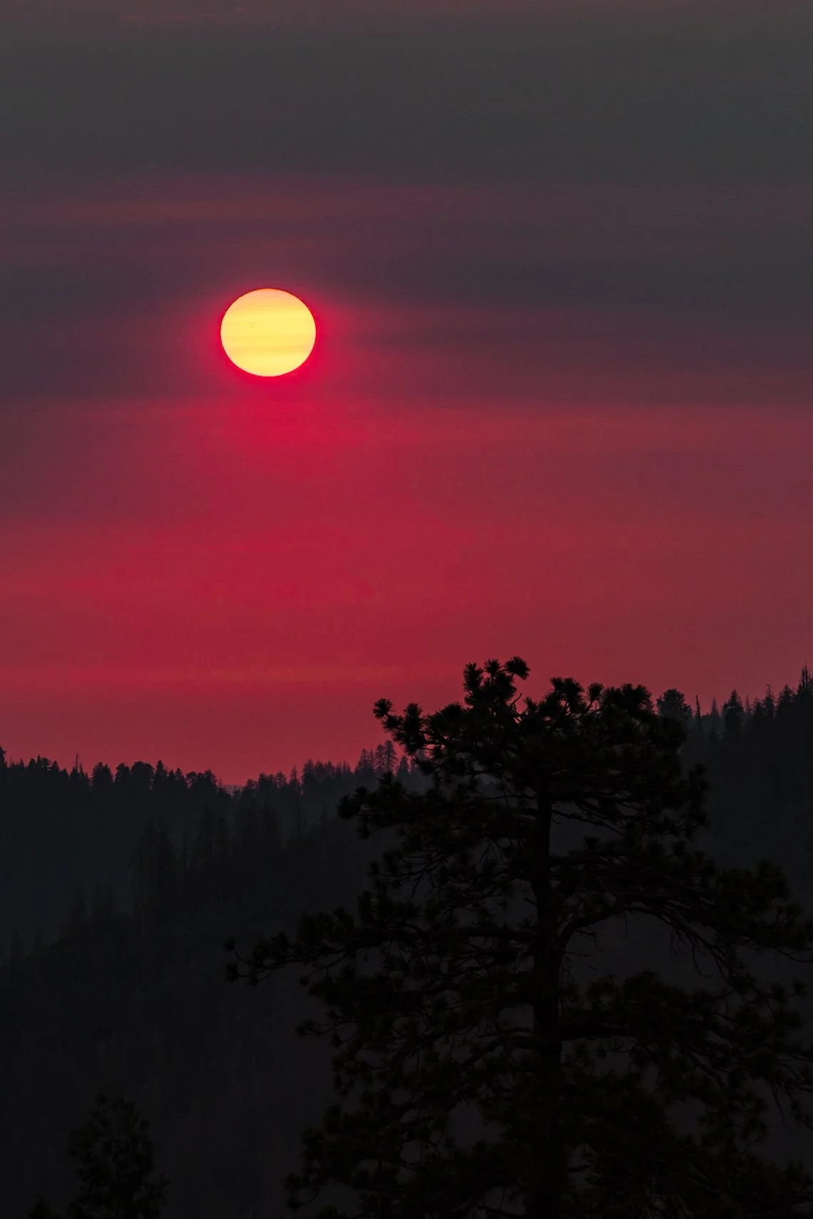 CA_Kings_Canyon_NP_Sunset_July 09, 2017_037.jpg