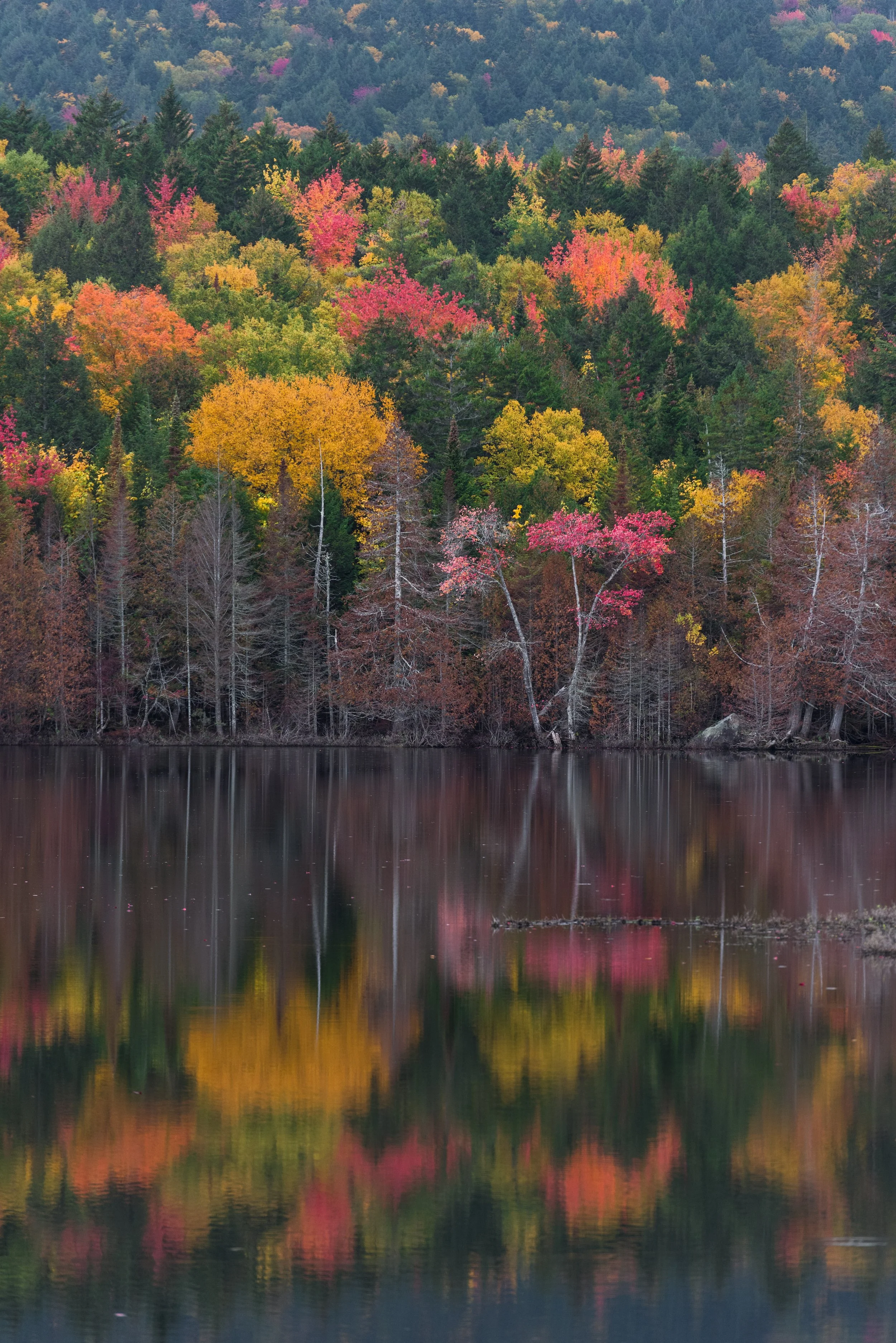ME_Allagash_Debsconeag_Wilderness_Foliage_2017_226October 08, 2017-1.jpg