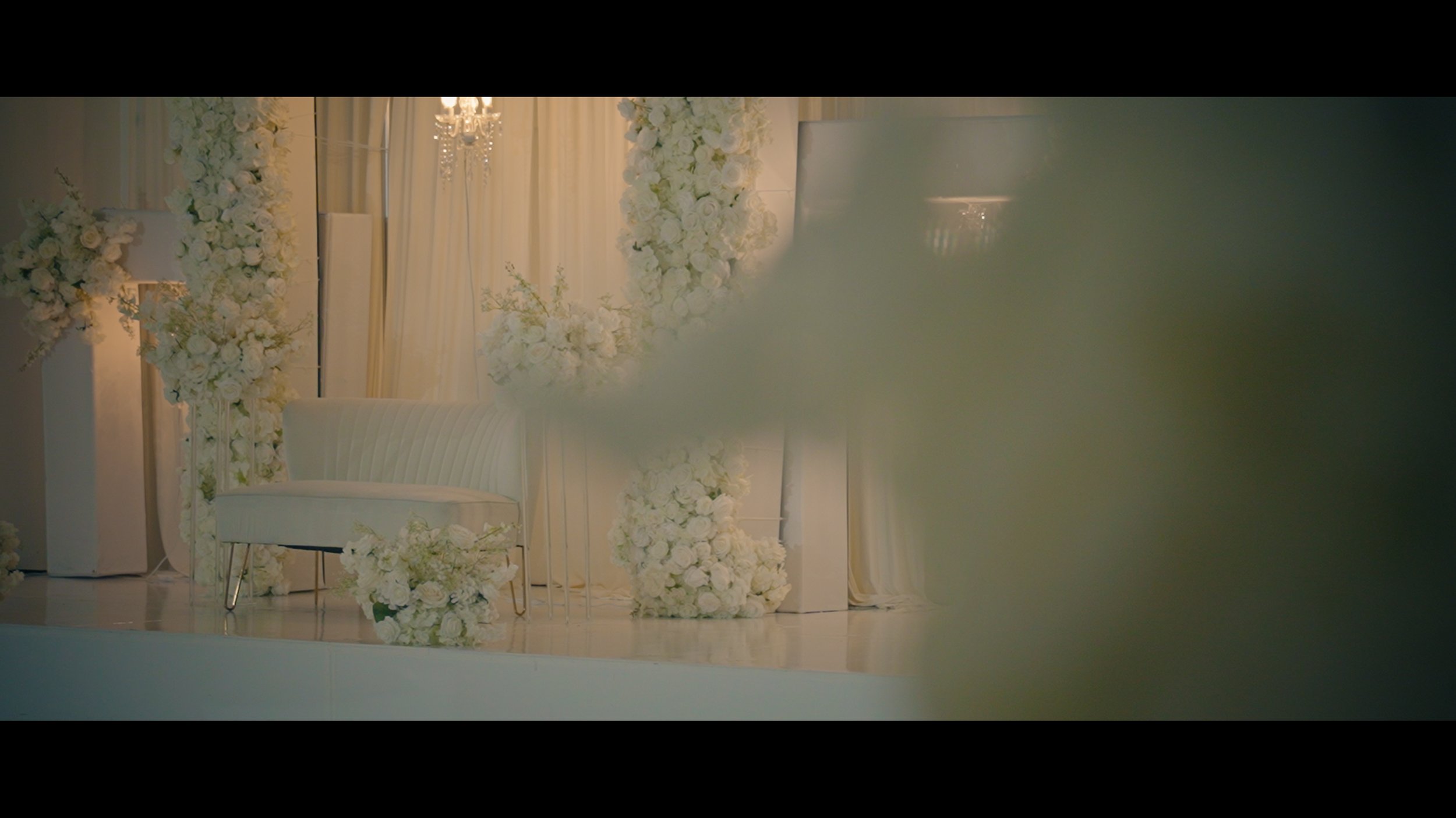 First Entrance.00_00_14_22.Still006.jpg