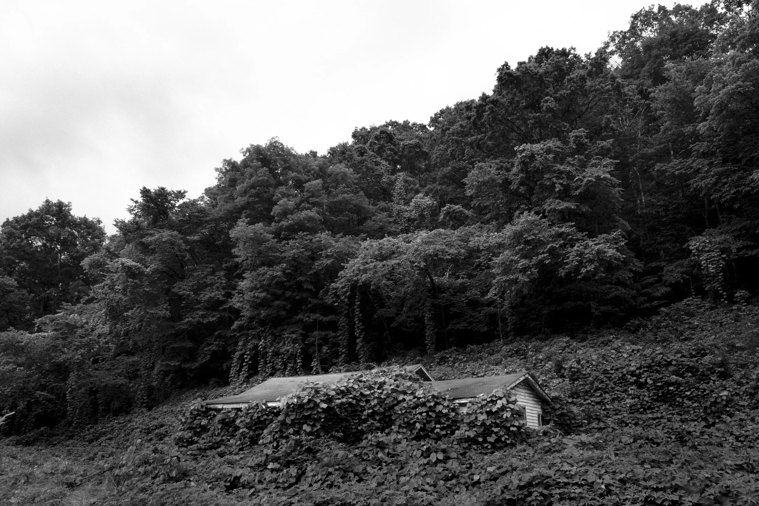 Boone County, West Virginia. From "When There's A Trouble Around"