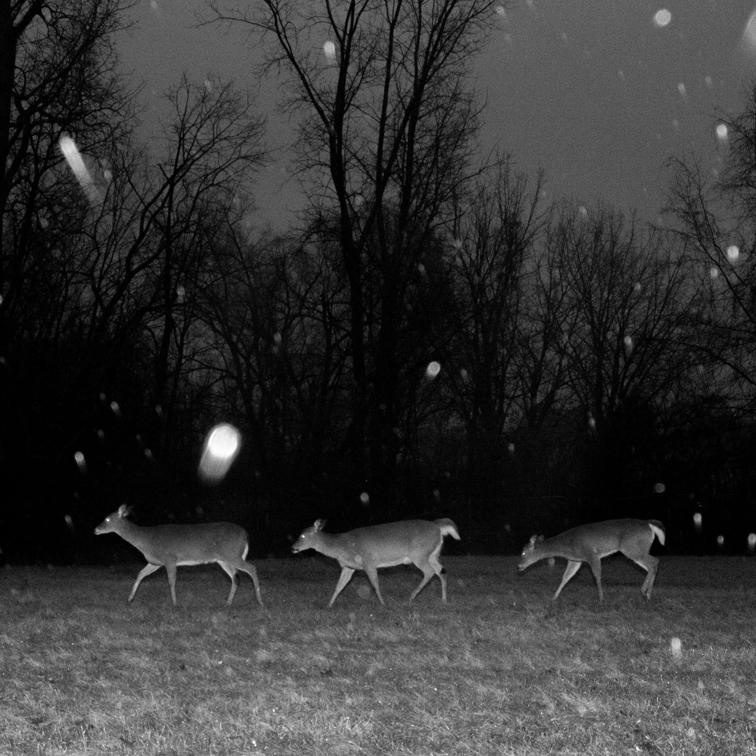 Brooklyn, Ohio. From "When There's A Trouble Around"