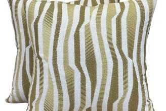 Pair of Decorative Square Pillows