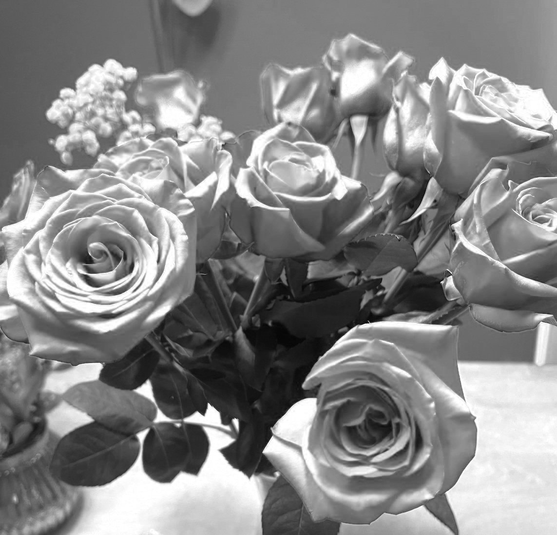 Roses that inspired the vibrant collection