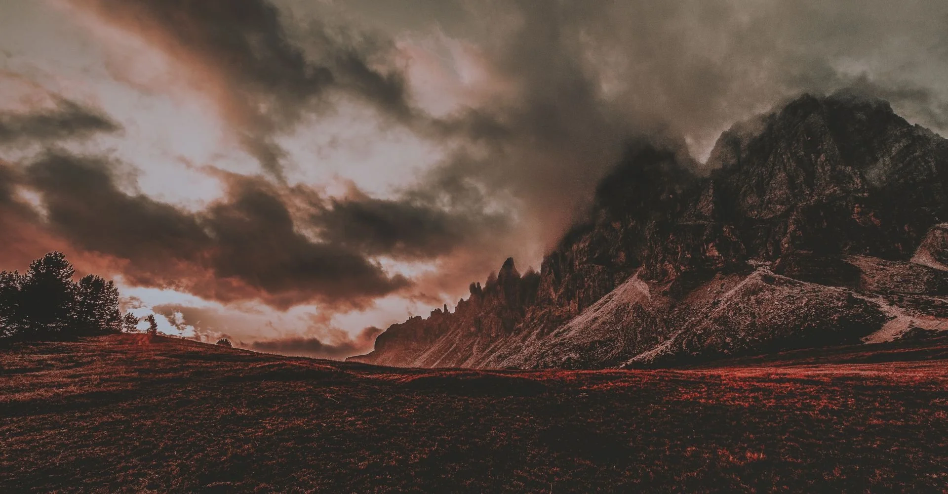 Why is Color Important in Photography?