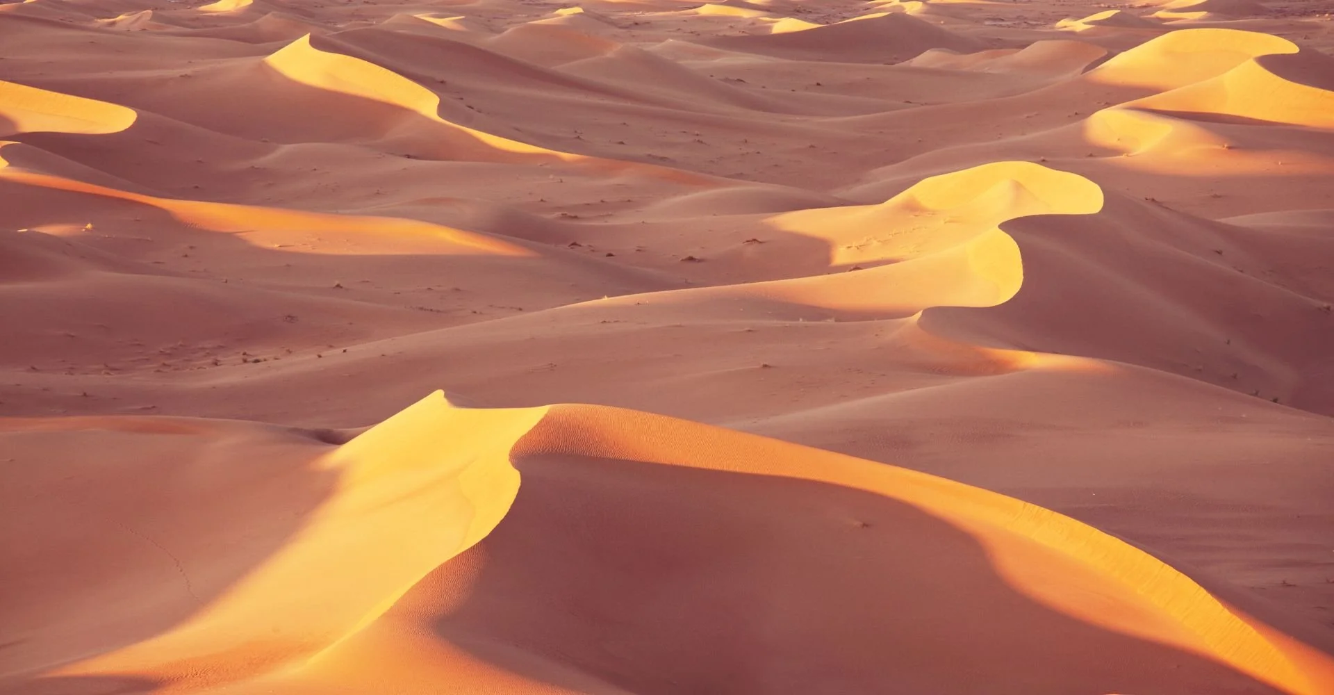 How to Photograph Sand Dunes