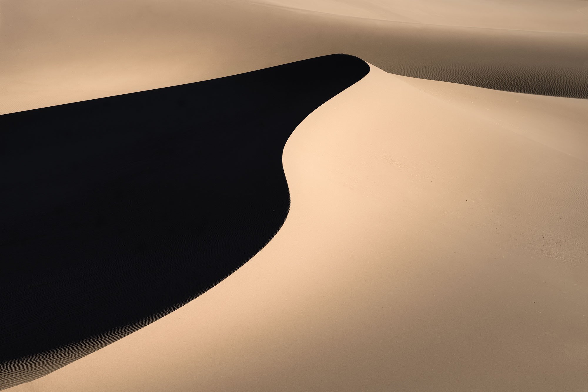 Sunset Dune.jpg