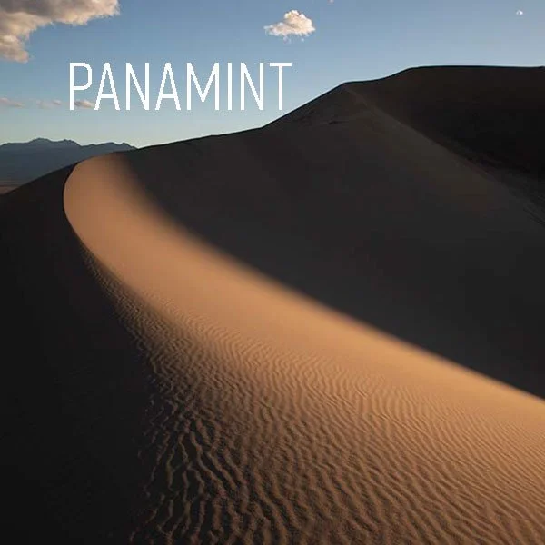 tn_panamint.jpg