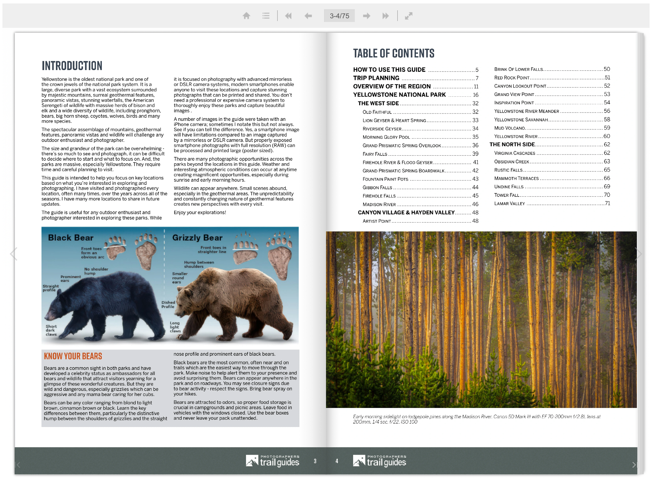 Screenshot 2026-02-10 at 10.52.39 AM.png