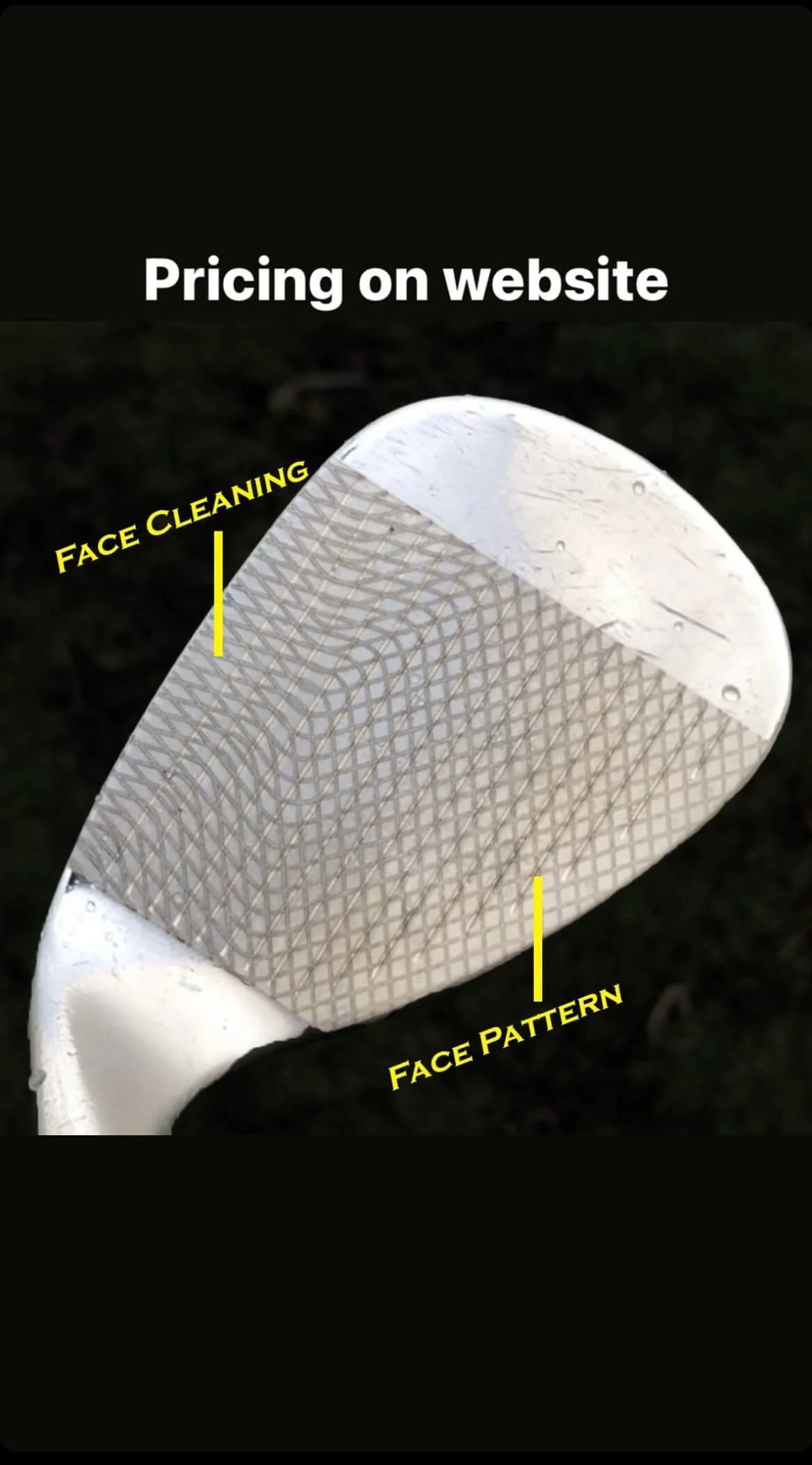 Close-up of a golf club head with labels indicating face cleaning and face pattern, with text 'Pricing on website' above.