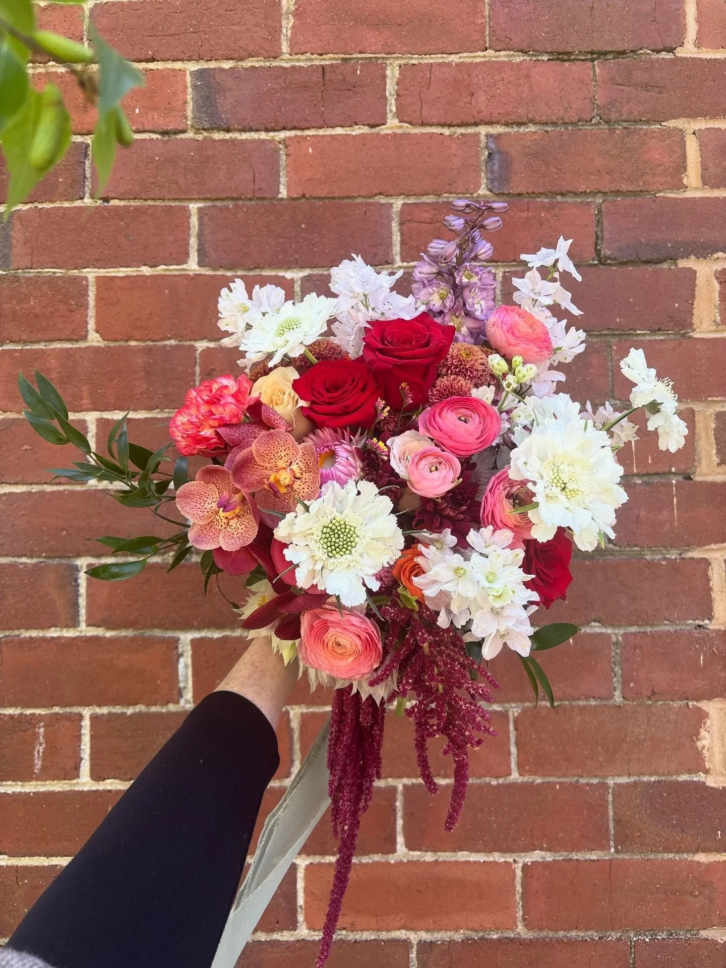 💒 25.10.2025 💍
For Kimberly and Carl 👰🤵&zwj;♂️

@kimberleysheakelly 

💒 @groveestate 
📝 @say_i_do_with_nicci 
✂️ @tikasmith_hair 
💄 @jennifergalvin_beauty_tanning 
📸 @byjamesgough.wp