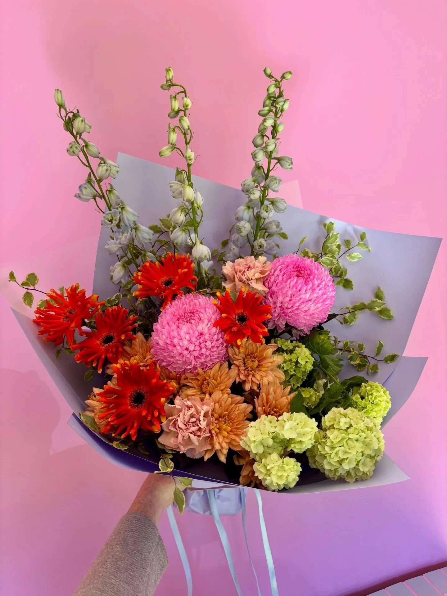 🎄Christmas, my last day in the studio will be Tuesday 23rd. Reopen Tuesday 13th January 

Hours for this week 🤗
Tuesday 2nd, 9am to 4:30pm 
Wednesday 3rd, 9am to 5pm 
Thursday 4th, 9am to 12pm 
Friday 5th, 9am to 5pm 
Saturday 6th, CLOSED