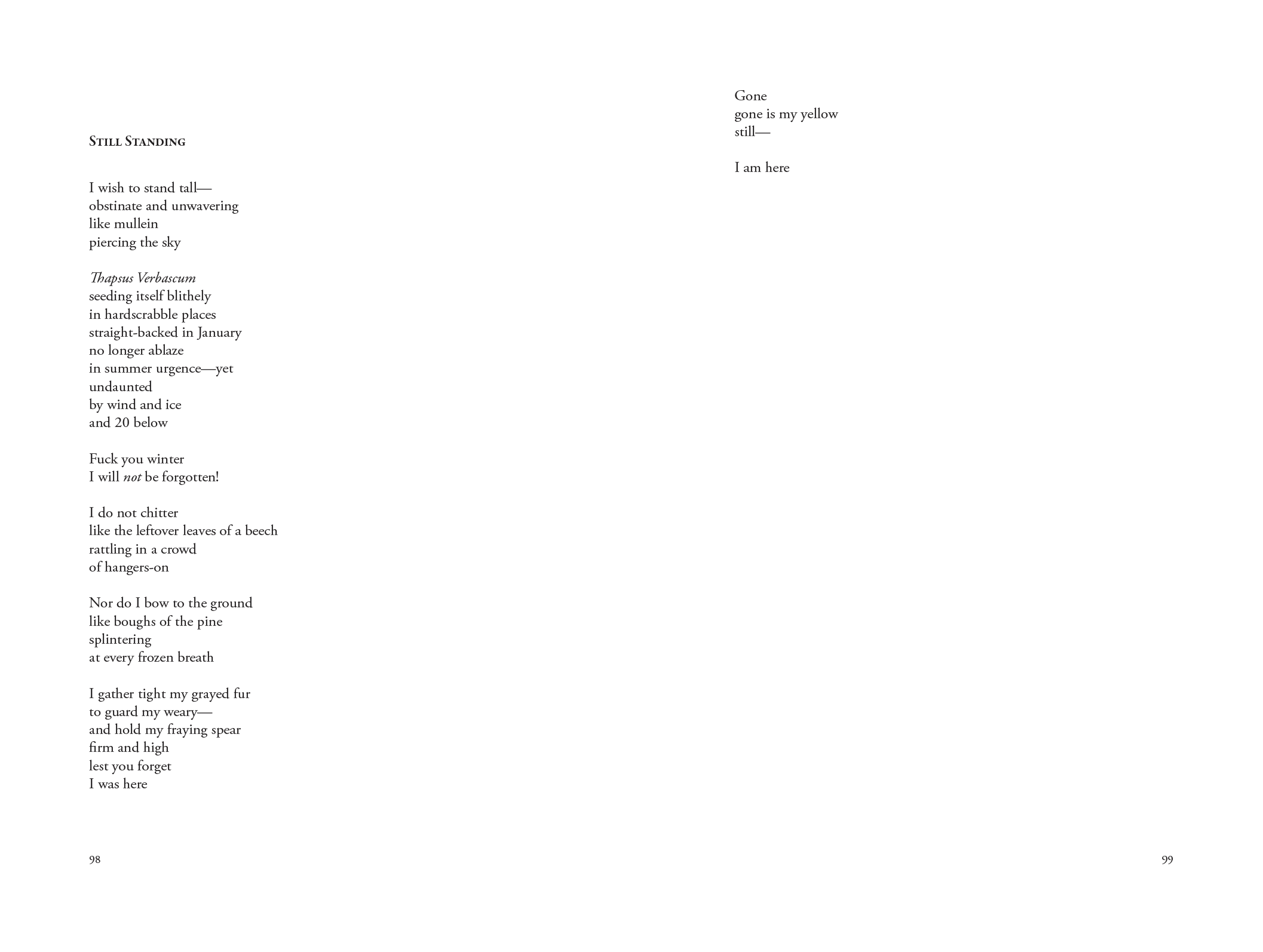Screenshot 2025-07-20 at 10.43.00 PM.png