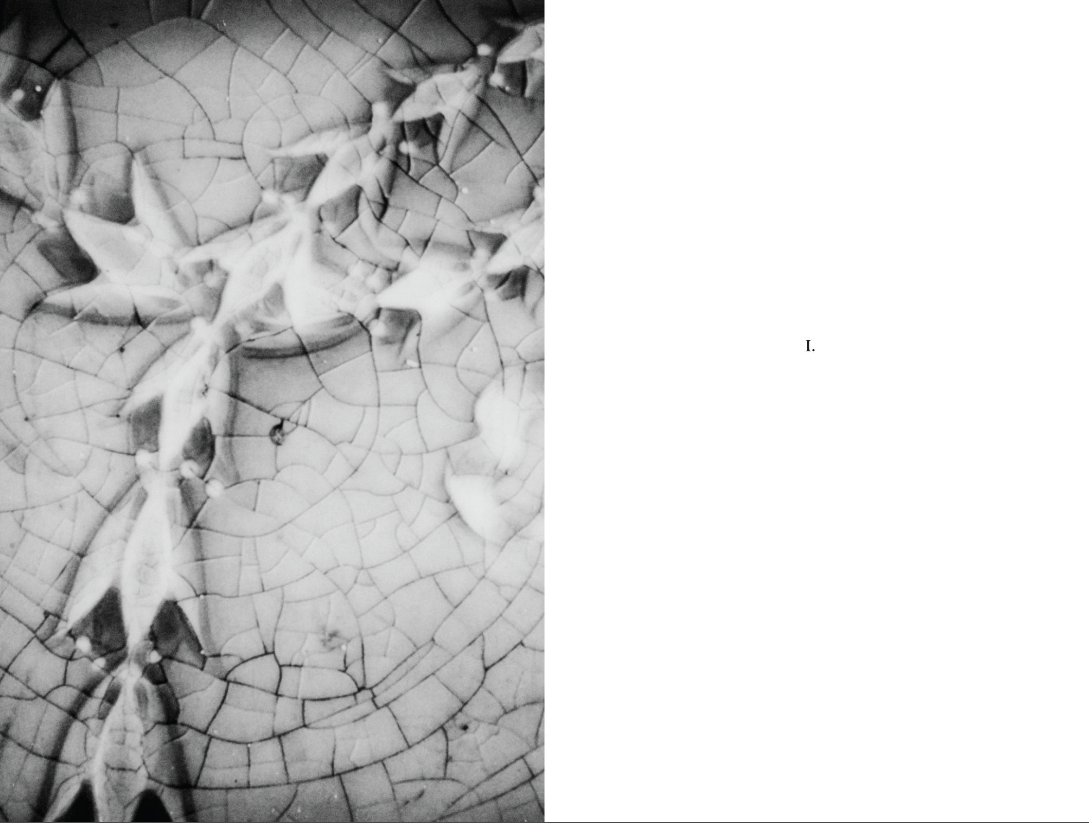 Screenshot 2025-07-20 at 10.41.55 PM.png