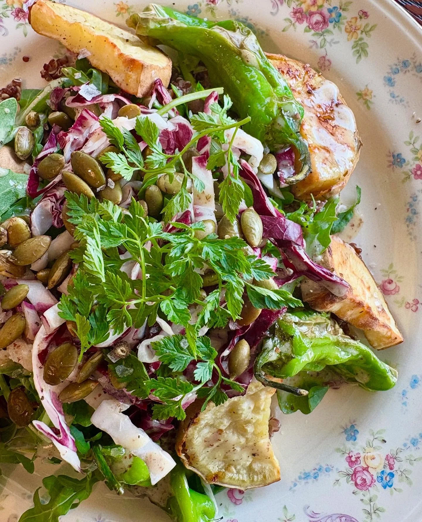 The seasons are changing and so is our menu! Out today is our new Quinoa Salad with roasted sweet potato, seared shishito peppers, arugula, radicchio, chervil, pepitas, and our signature maple vinaigrette.