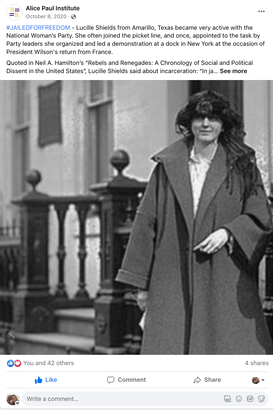 API FB Jailed for Freedom 3.png