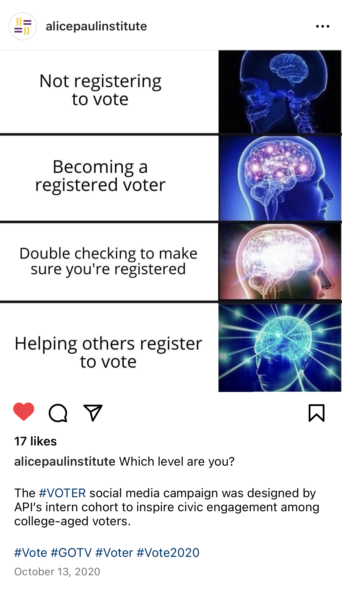 API IG Voting Memes 8.png