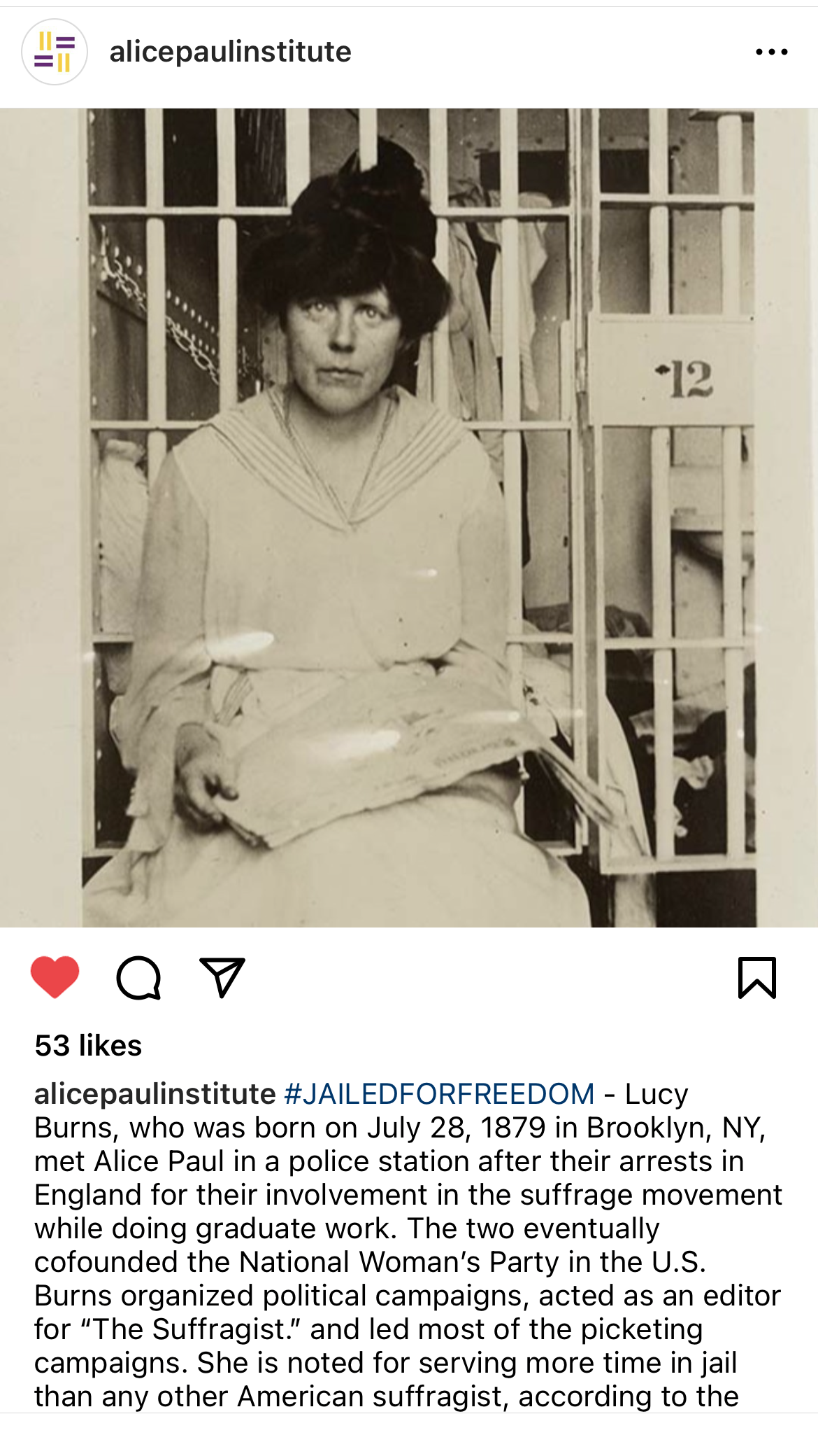 API IG Jailed for Freedom 12.png